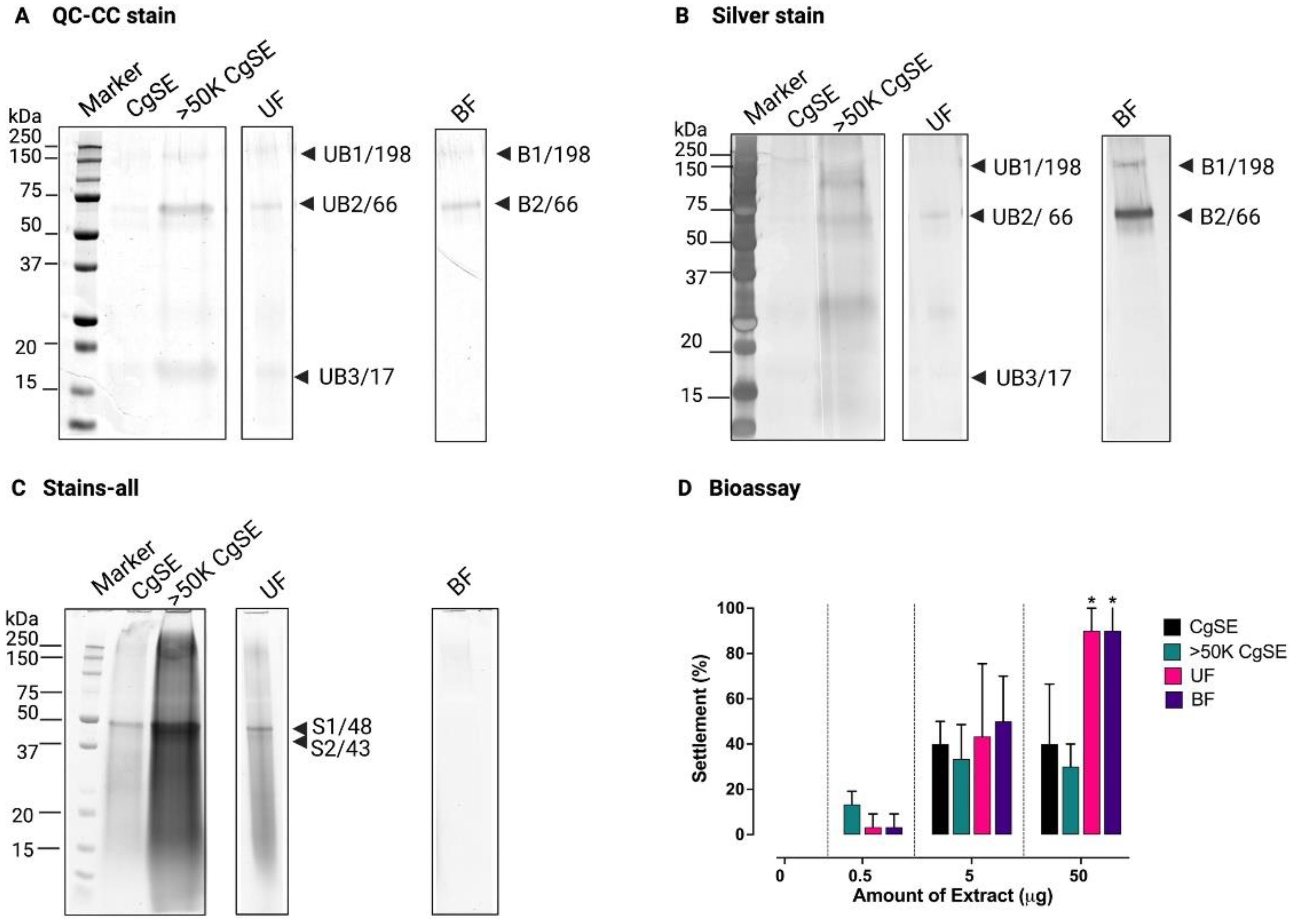 Ijms 23 09816 g001 Ijms 23 09816 g001