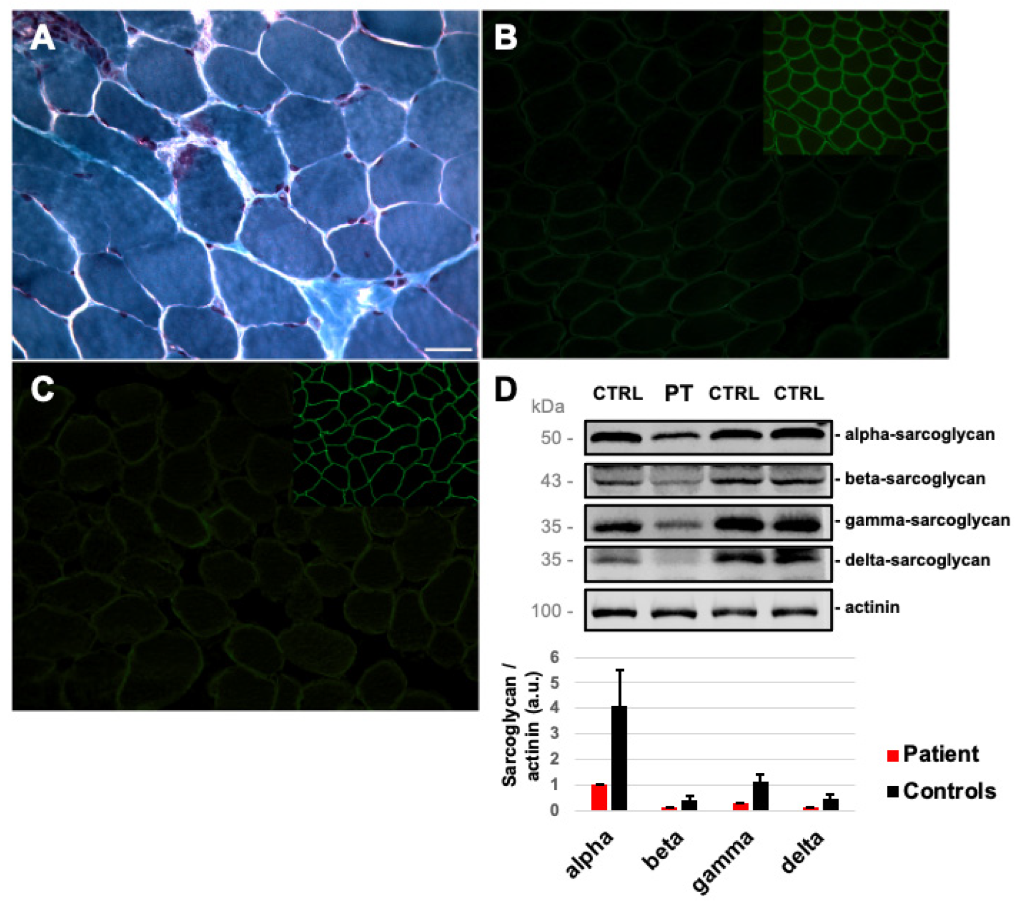 Ijms 23 09817 g001 550