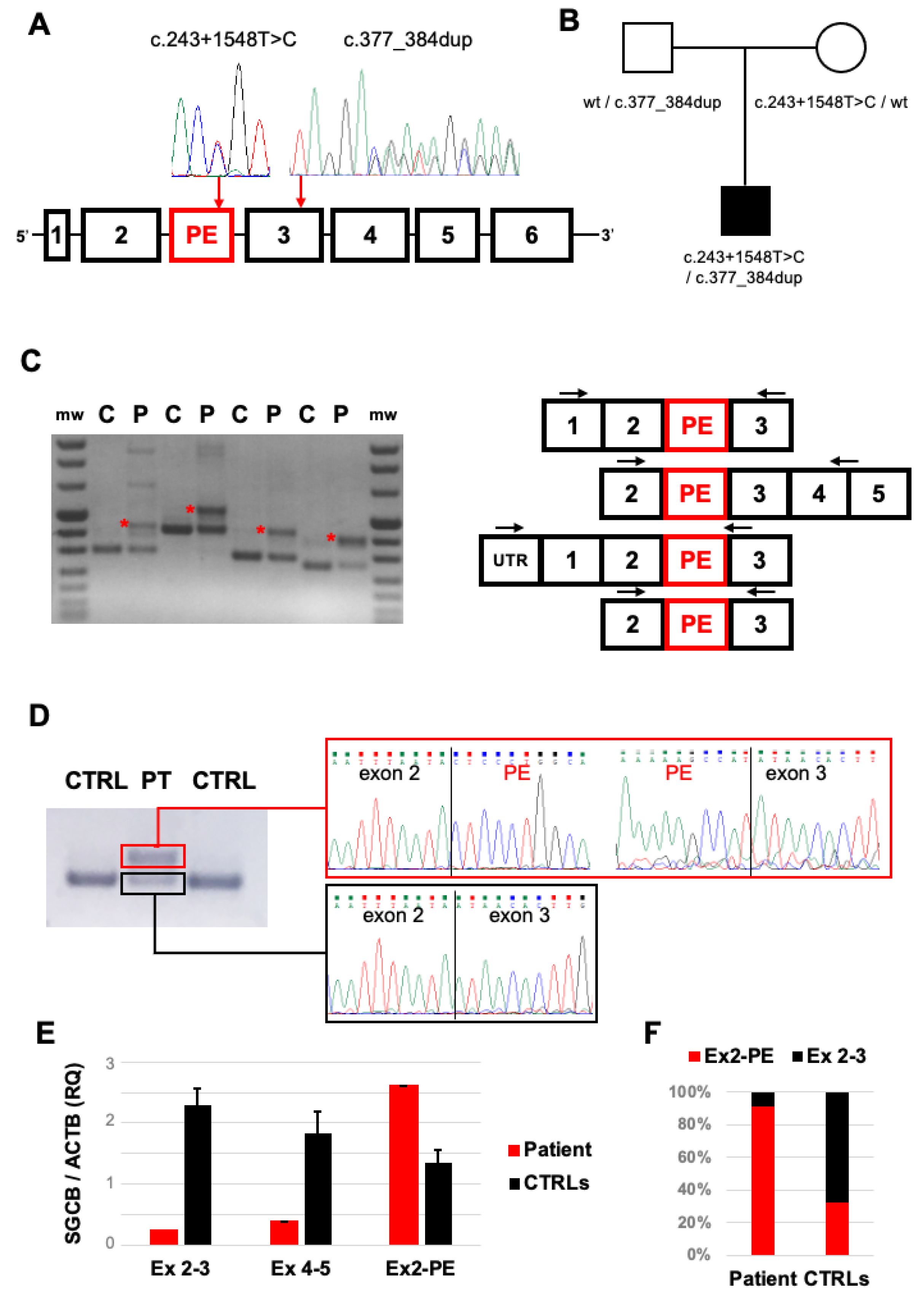 Ijms 23 09817 g002 550