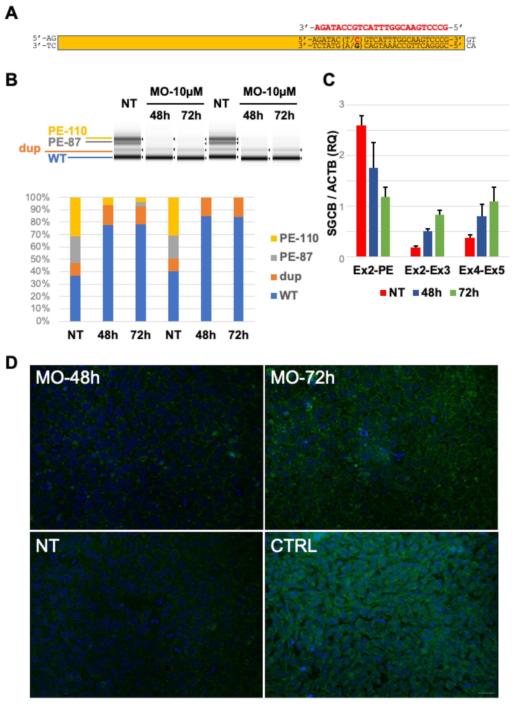 Ijms 23 09817 g003 550