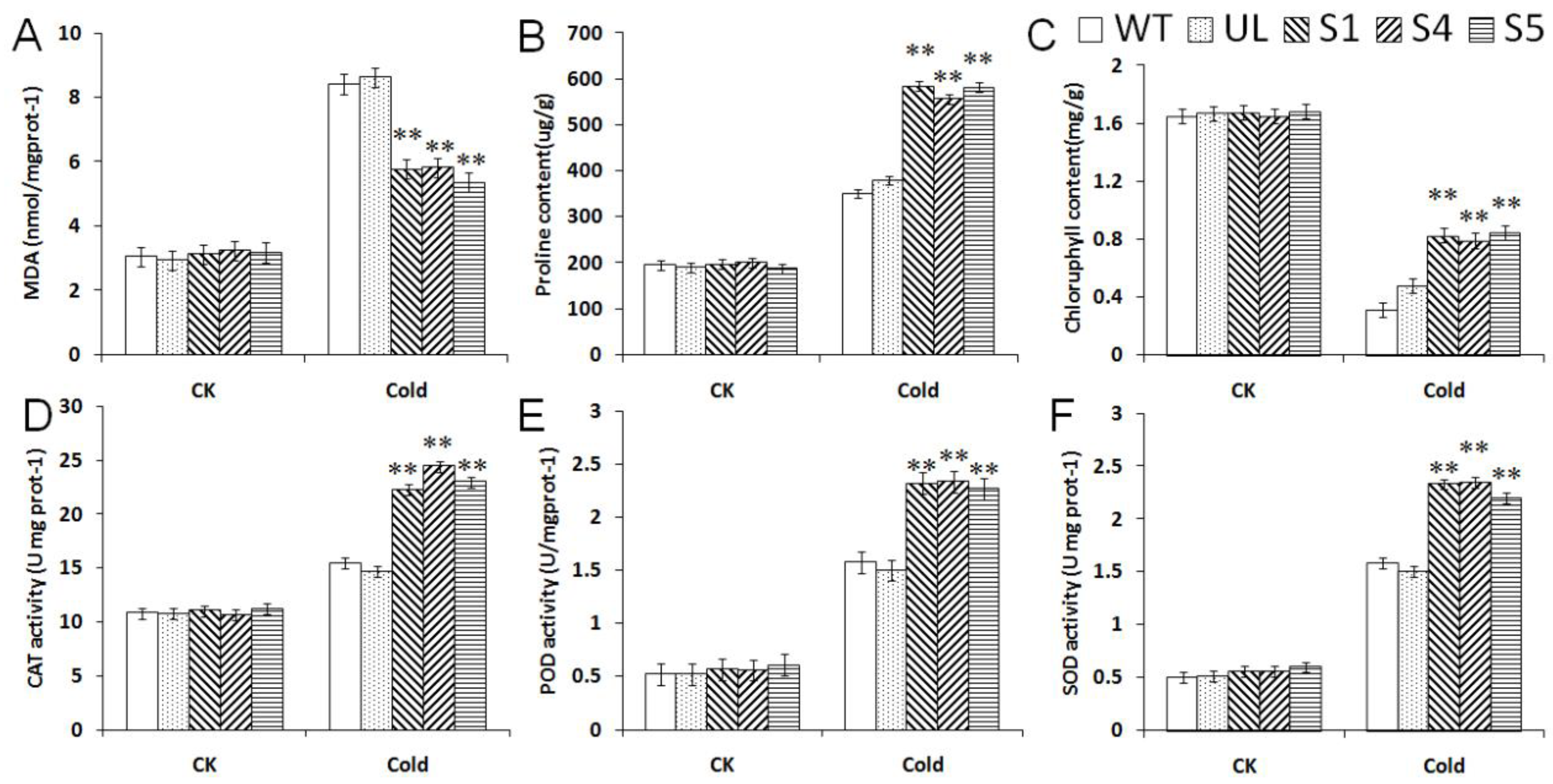 Ijms 23 09827 g005 550