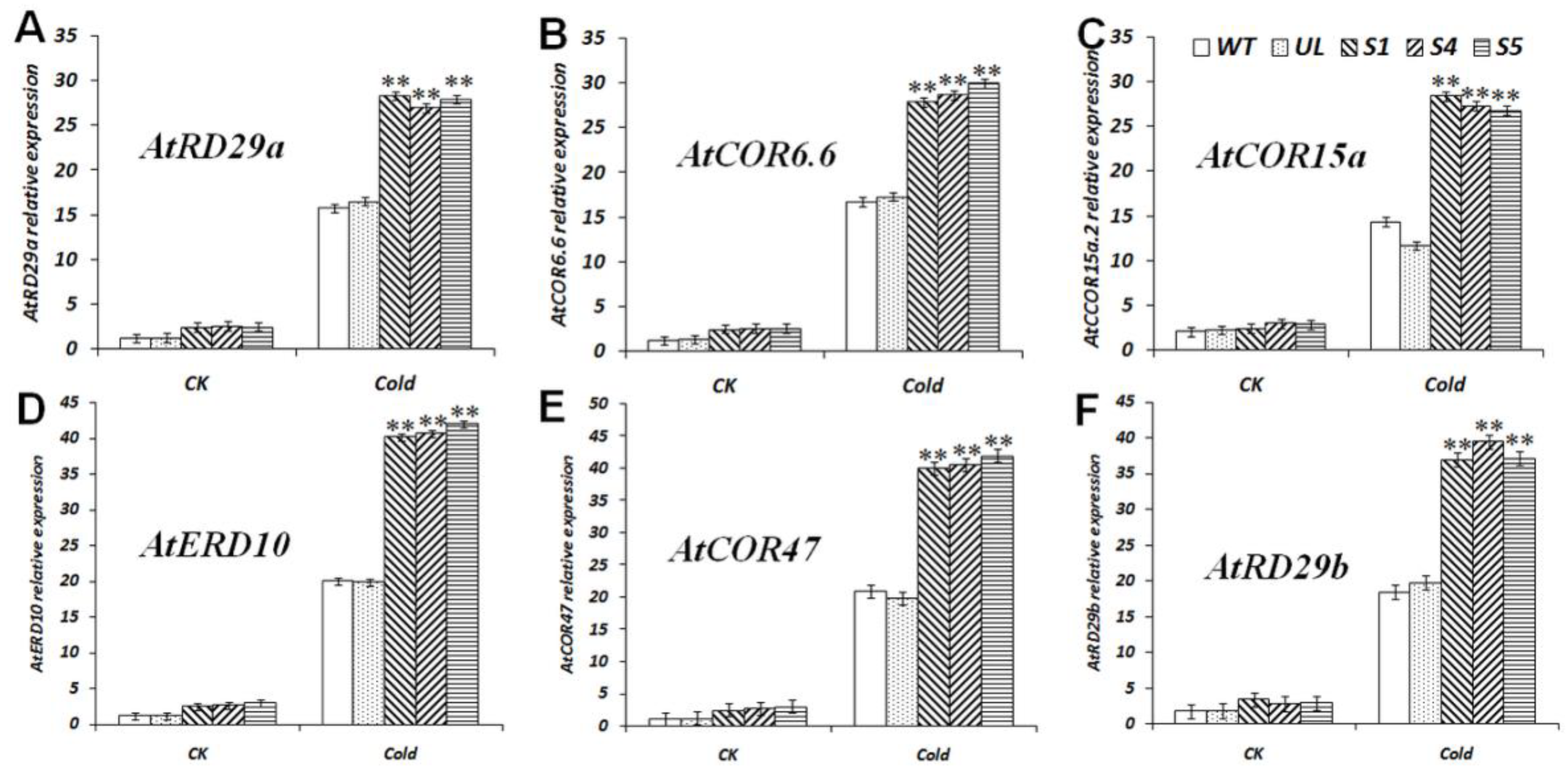 Ijms 23 09827 g006 550