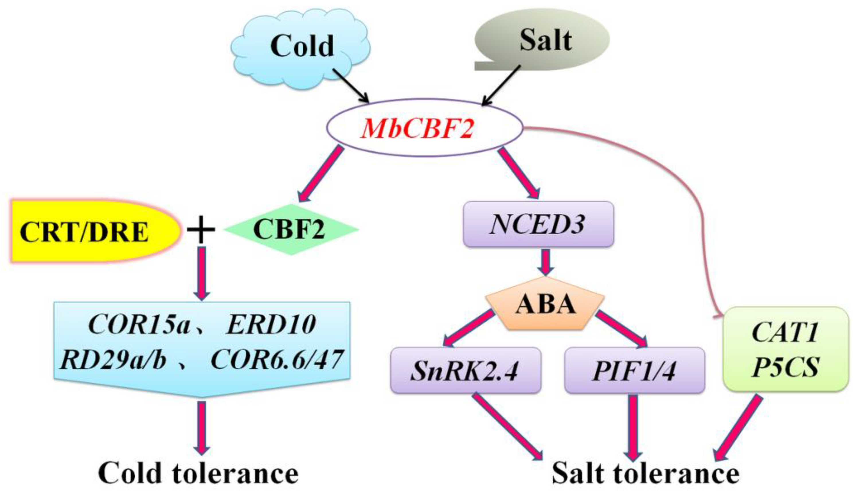 Ijms 23 09827 g010 550