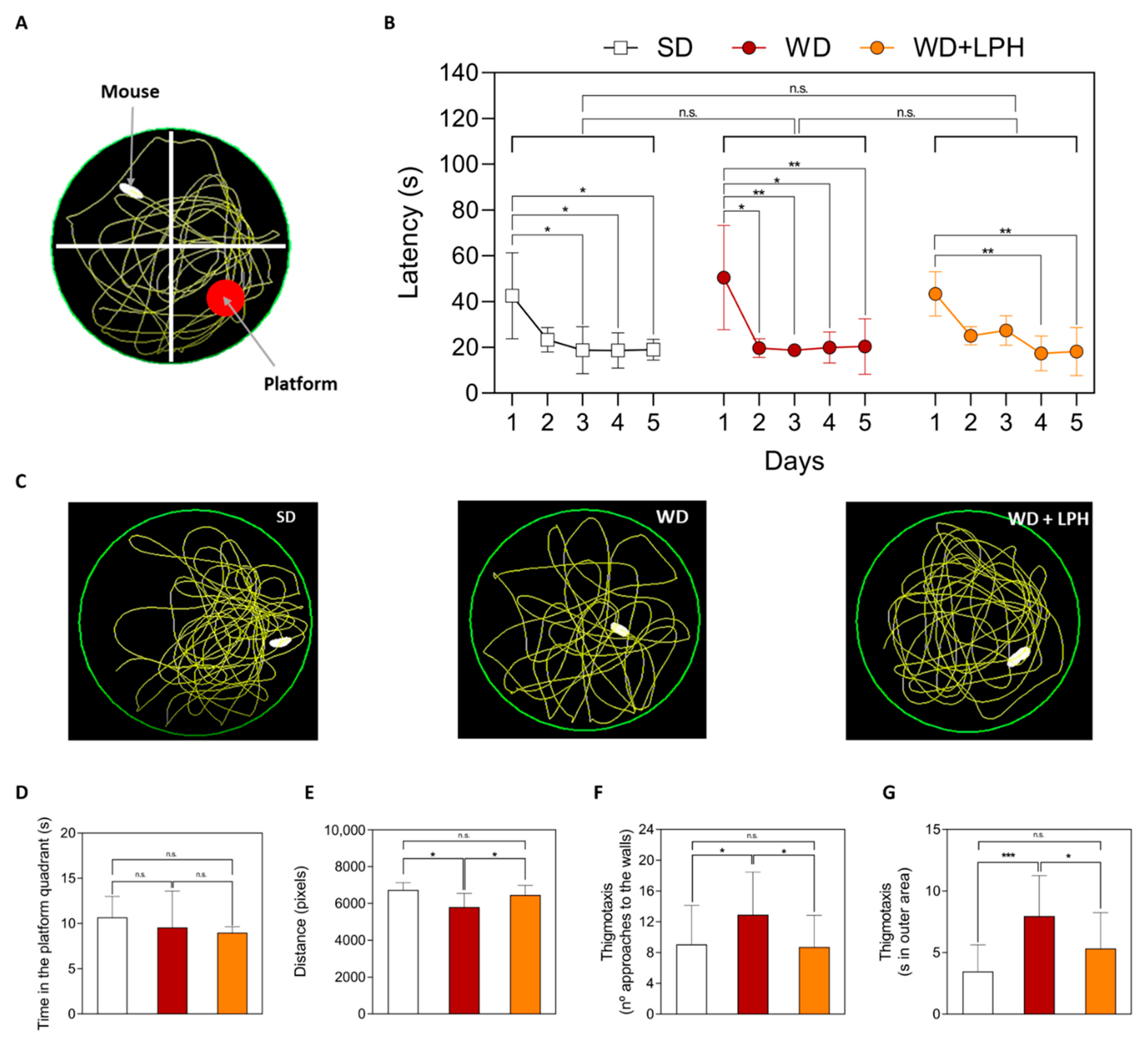 Ijms 23 09828 g004 550