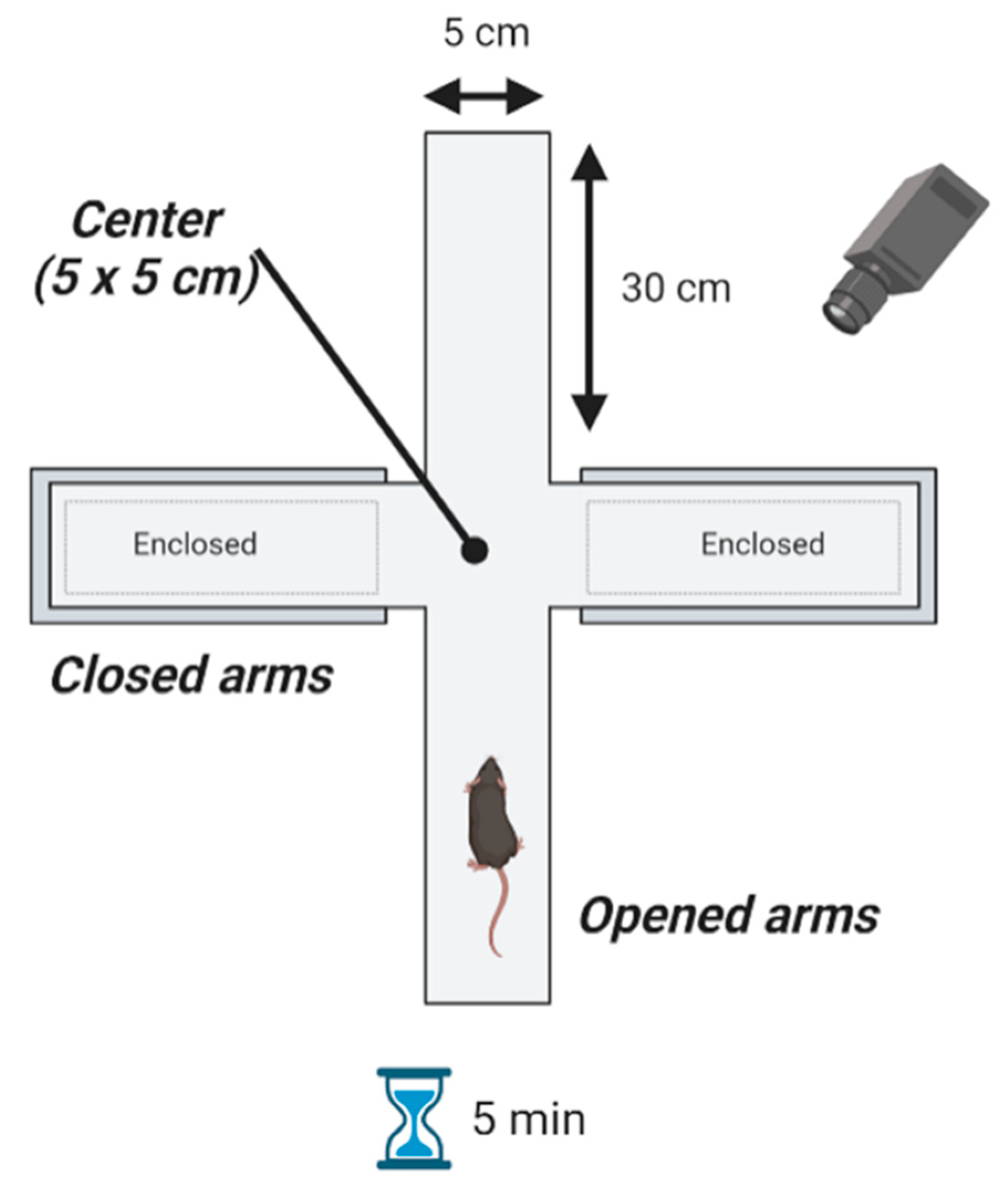 Ijms 23 09828 g005 550