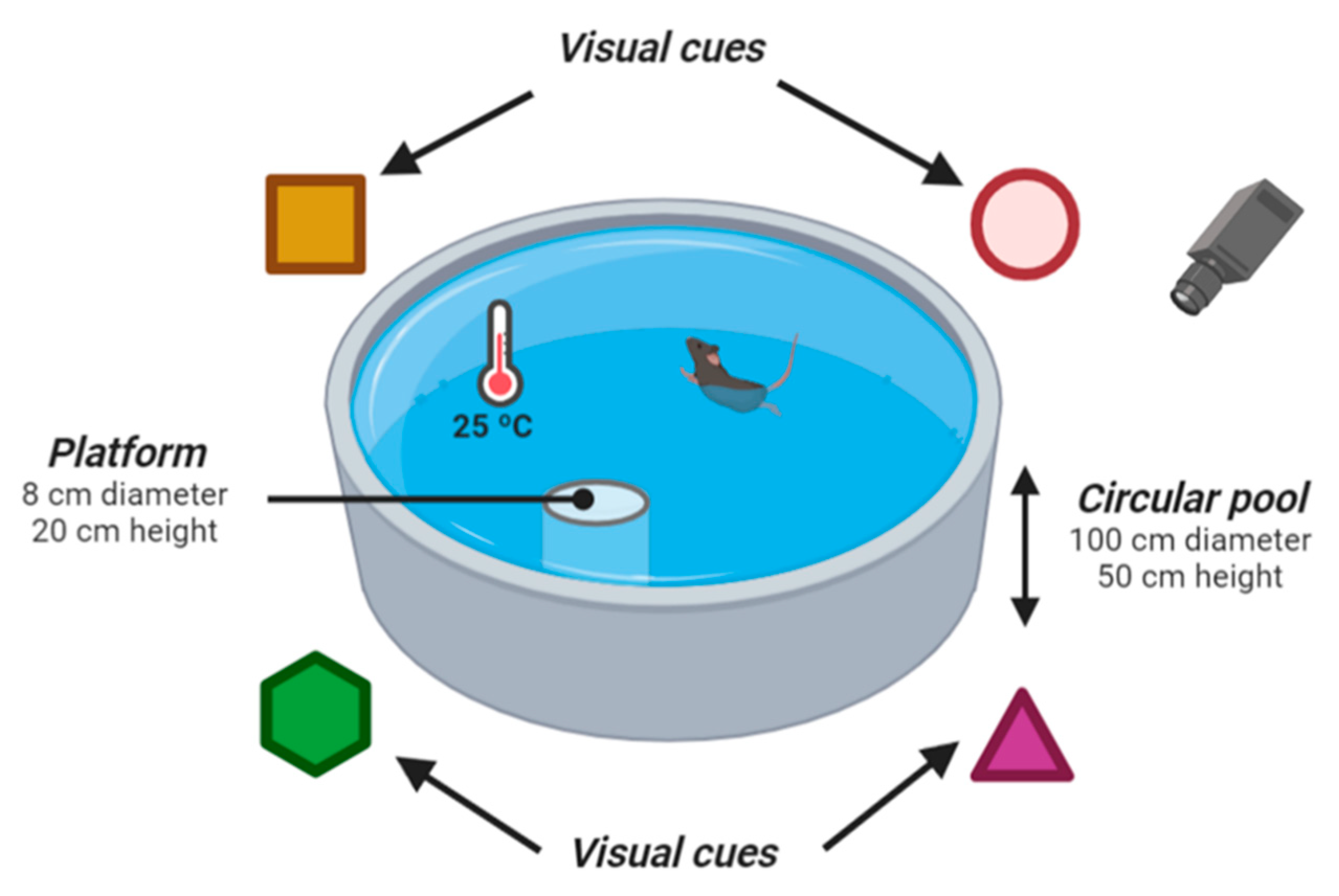 Ijms 23 09828 g006 550