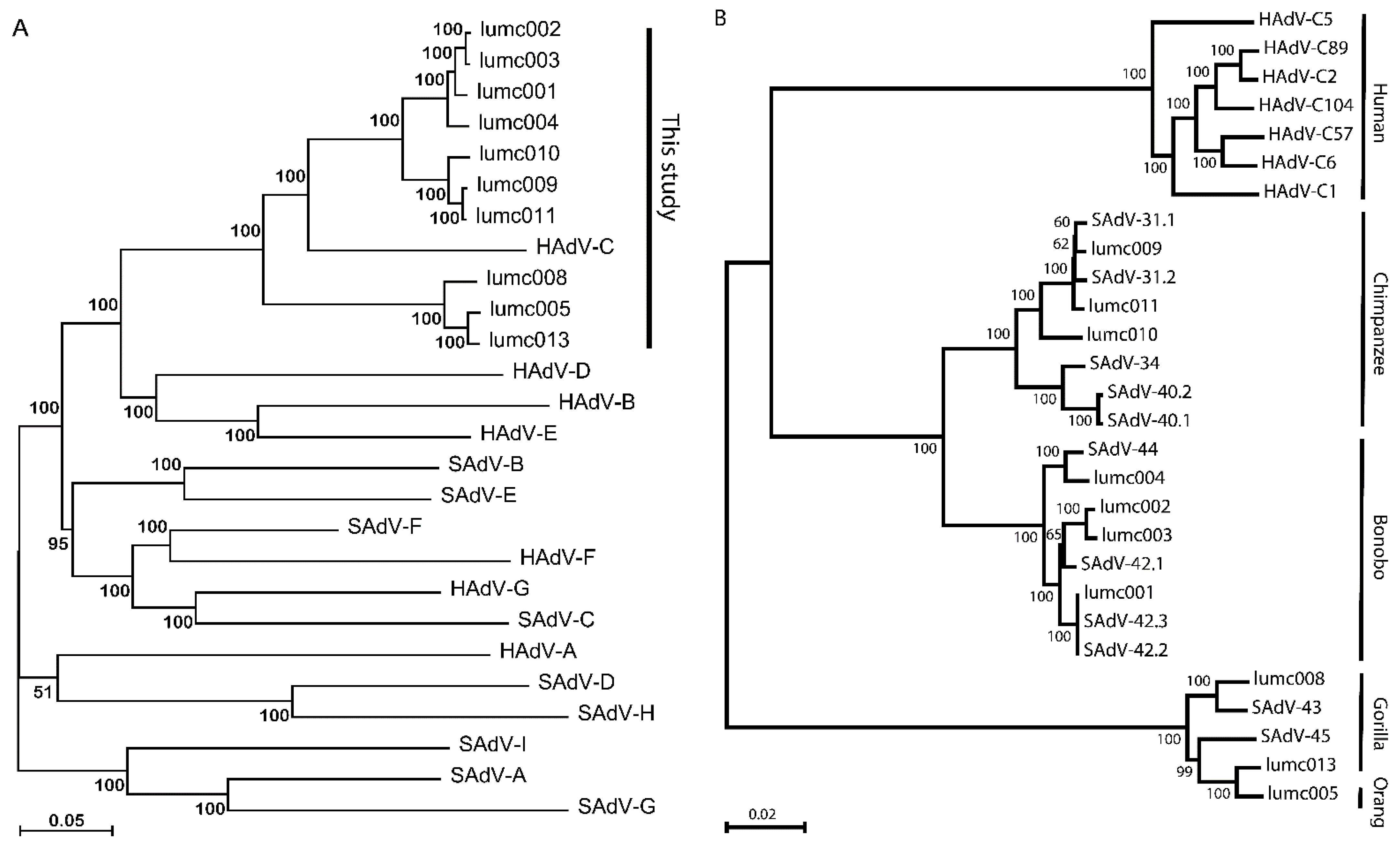 Ijms 23 09832 g001 550