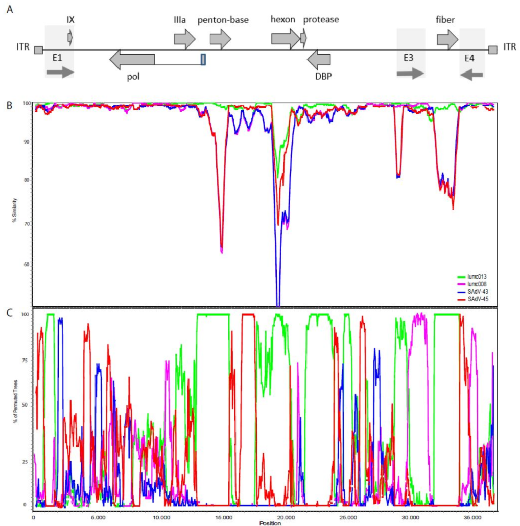 Ijms 23 09832 g003 550