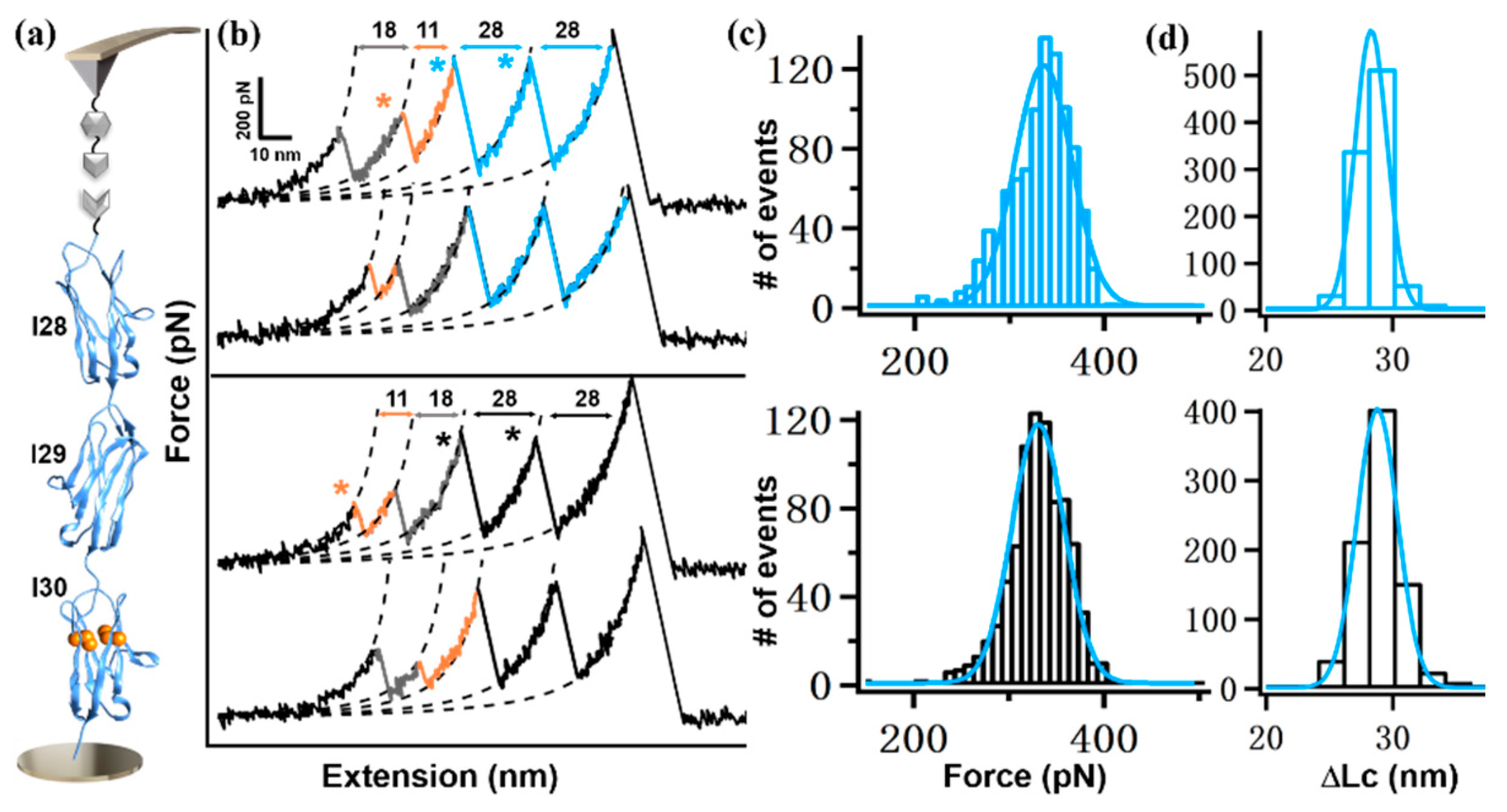 Ijms 23 09836 g003 Ijms 23 09836 g003