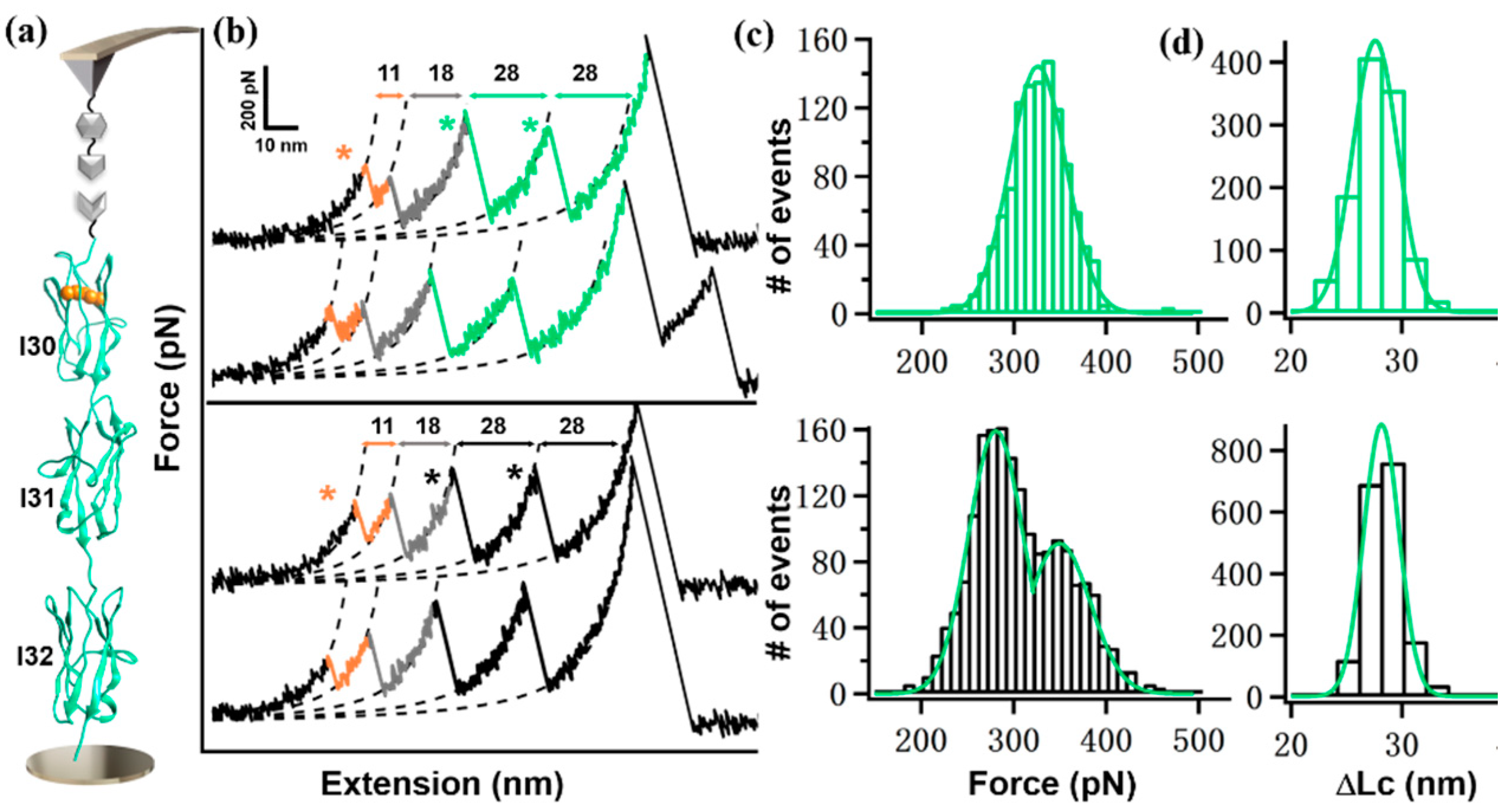 Ijms 23 09836 g004 Ijms 23 09836 g004