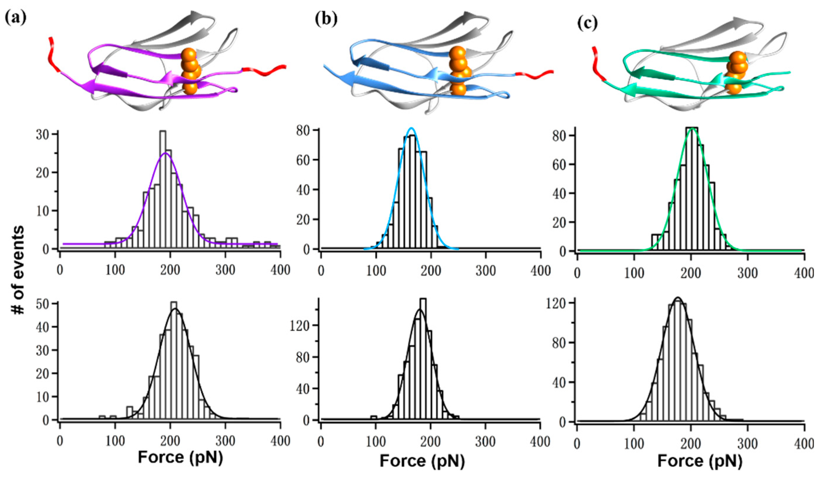 Ijms 23 09836 g005 Ijms 23 09836 g005