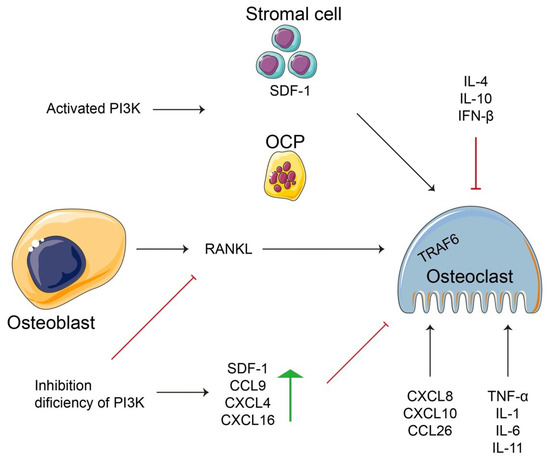 クー【2本セット】 Frontiers | Predictive biomarkers of colon cancer