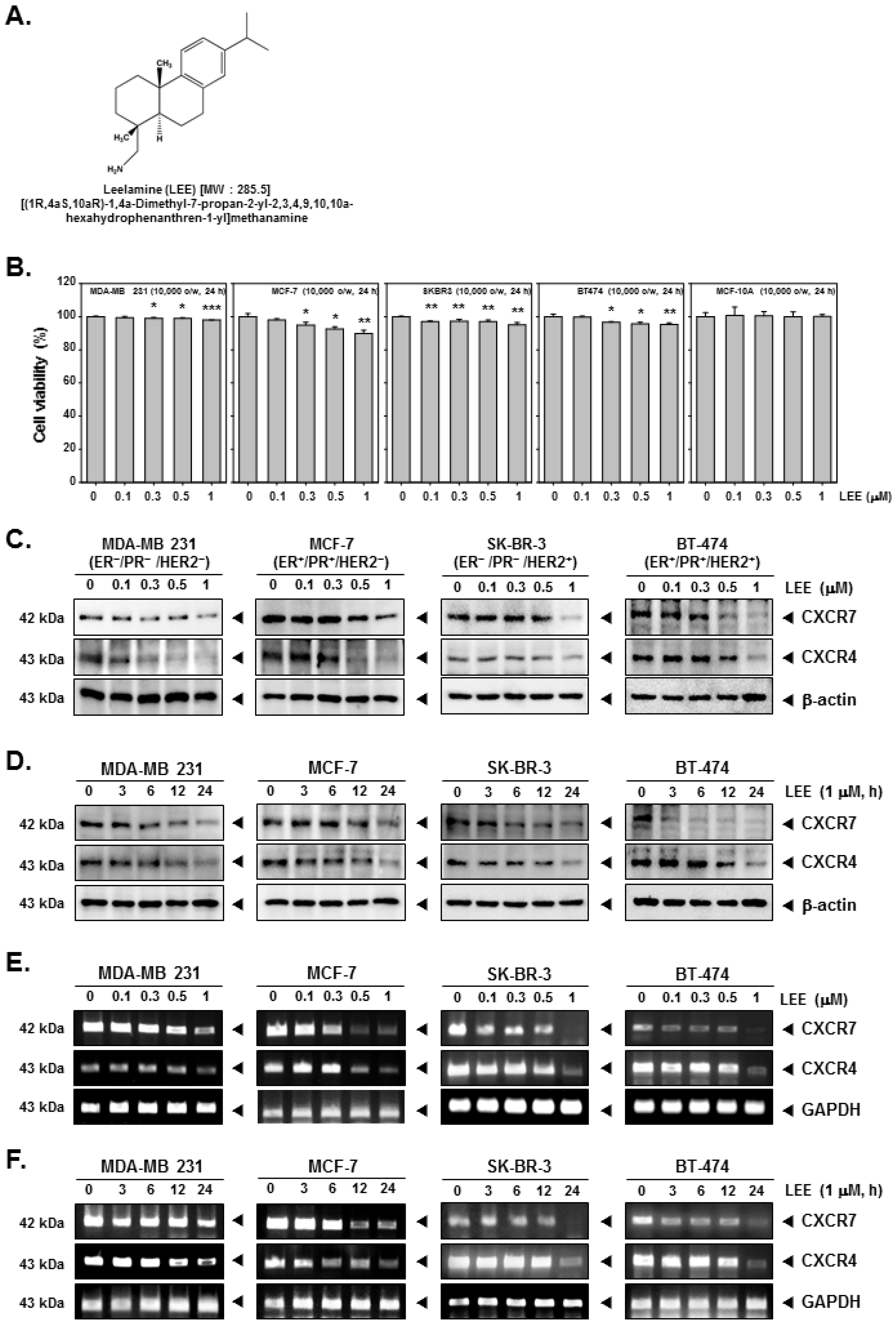 Ijms 23 09848 g001 Ijms 23 09848 g001