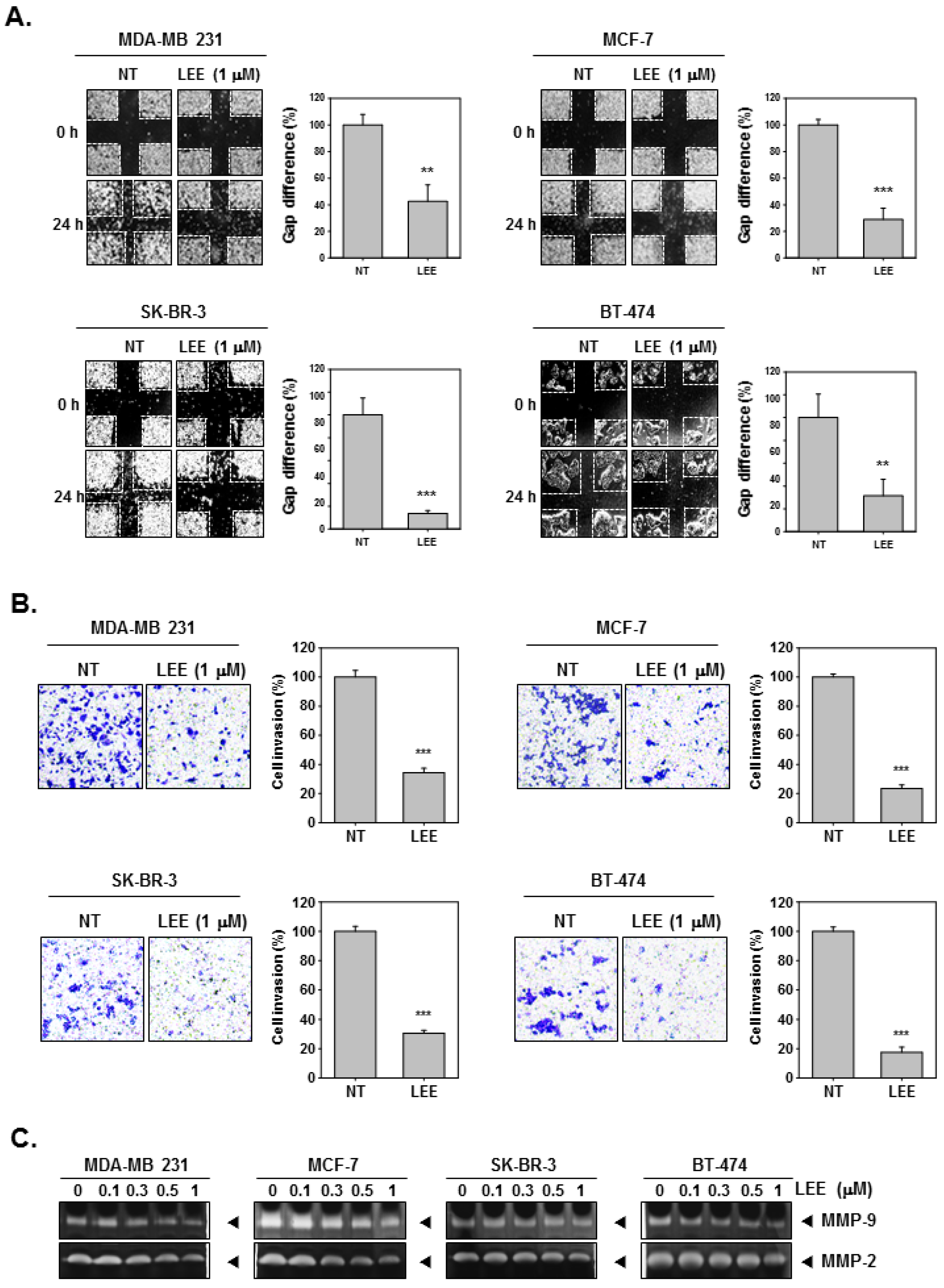 Ijms 23 09848 g002 Ijms 23 09848 g002