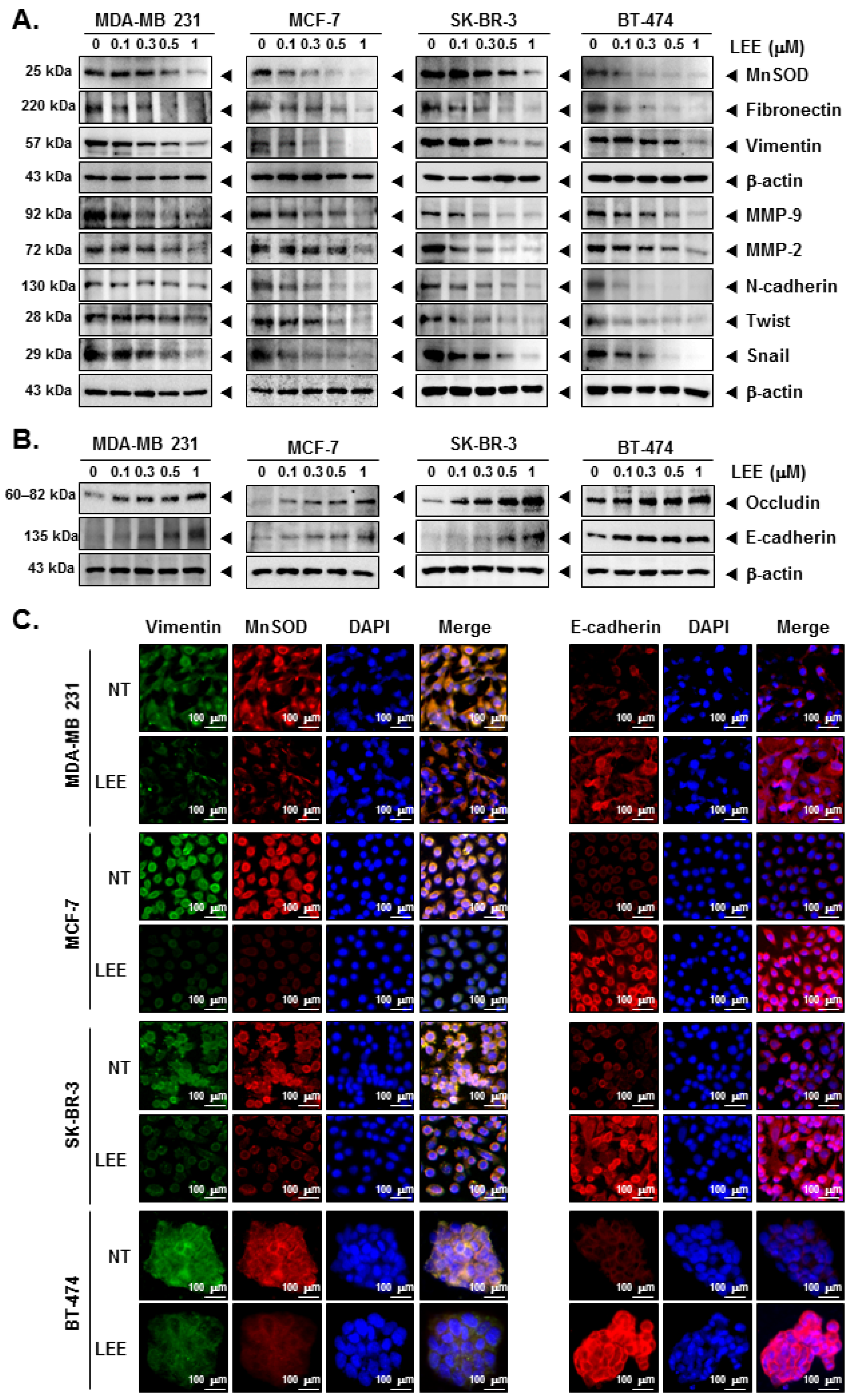 Ijms 23 09848 g003 Ijms 23 09848 g003