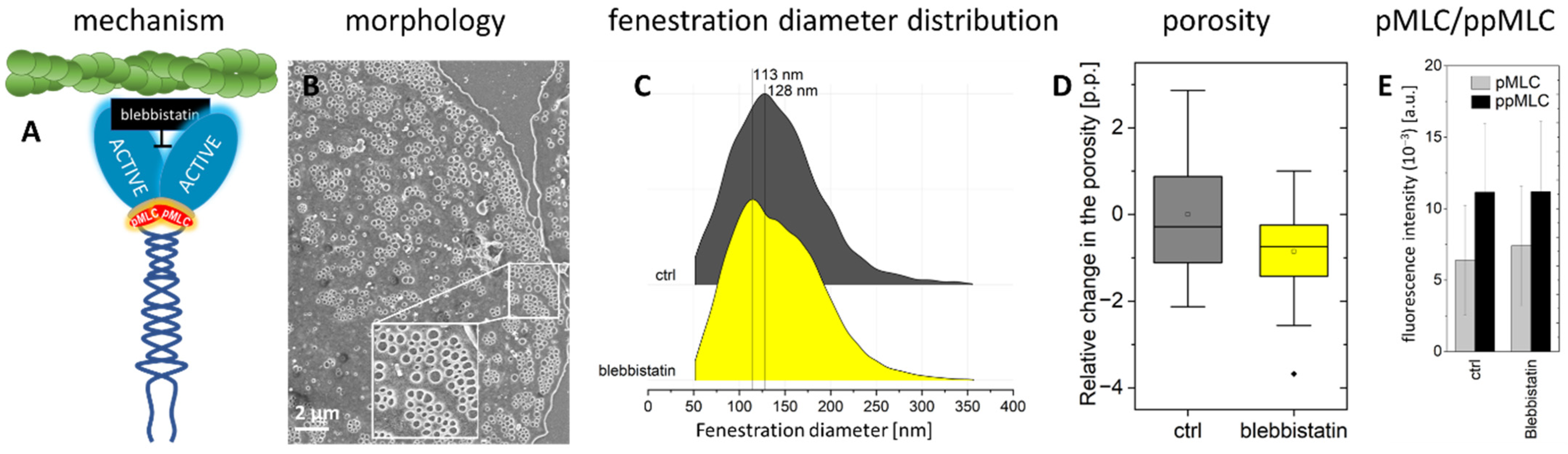 Ijms 23 09850 g005 550