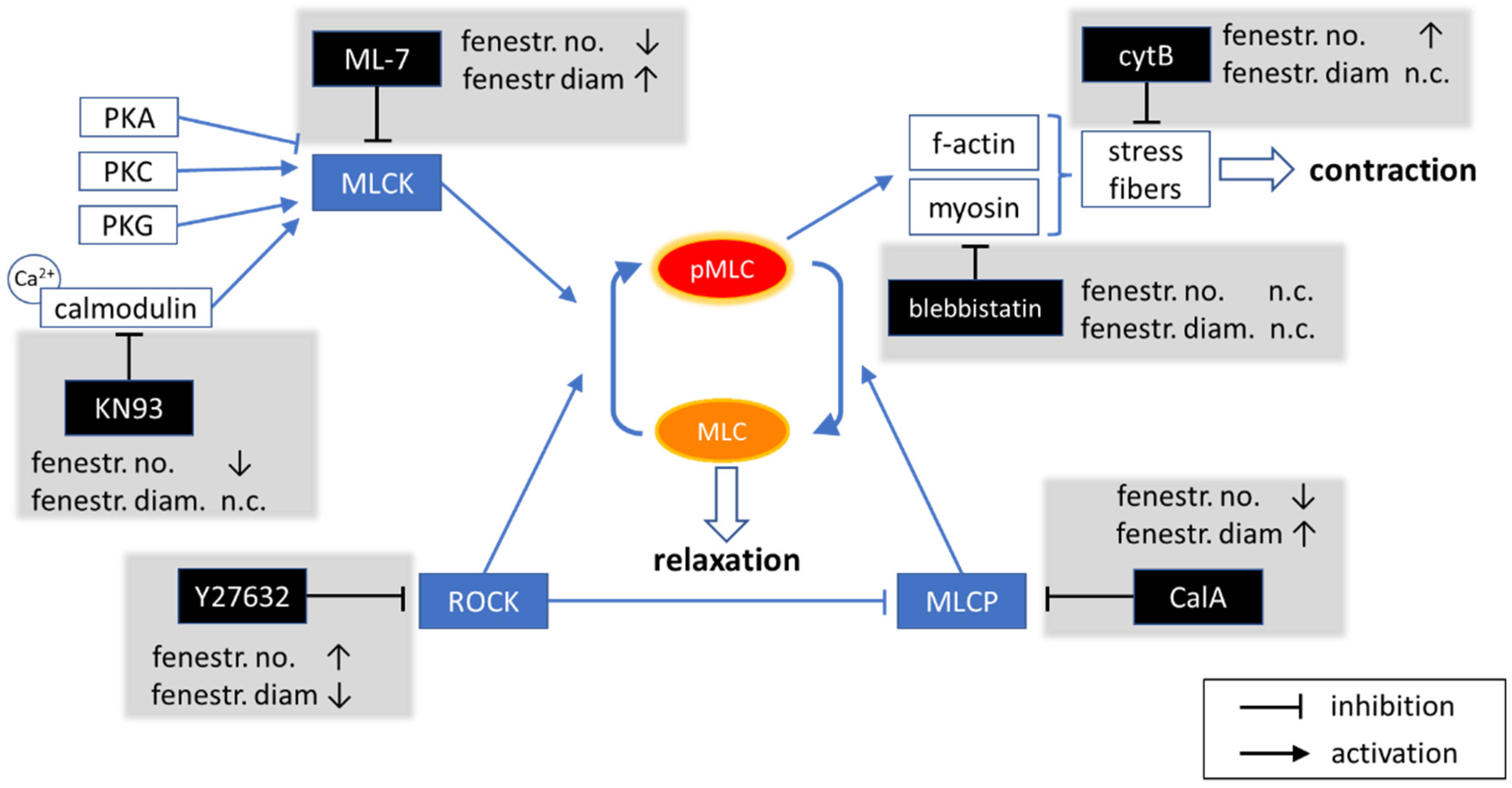 Ijms 23 09850 g007 550