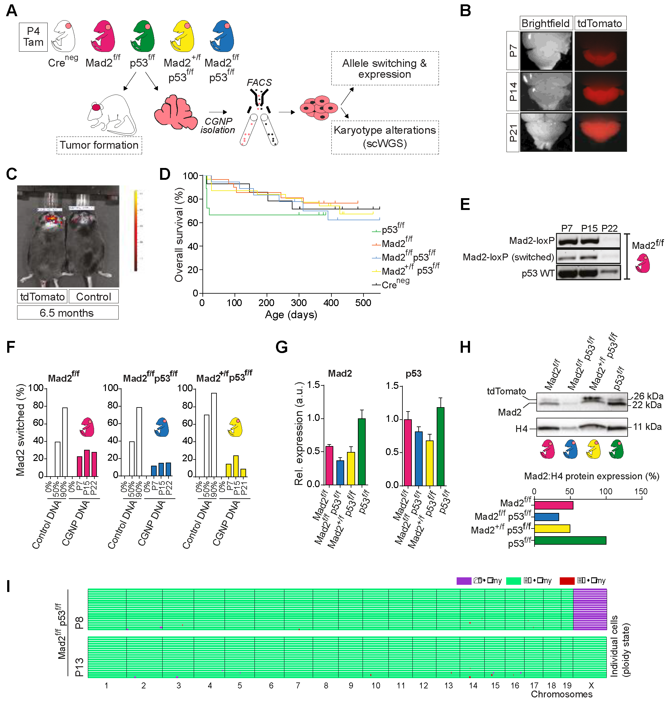Ijms 23 09852 g004 550