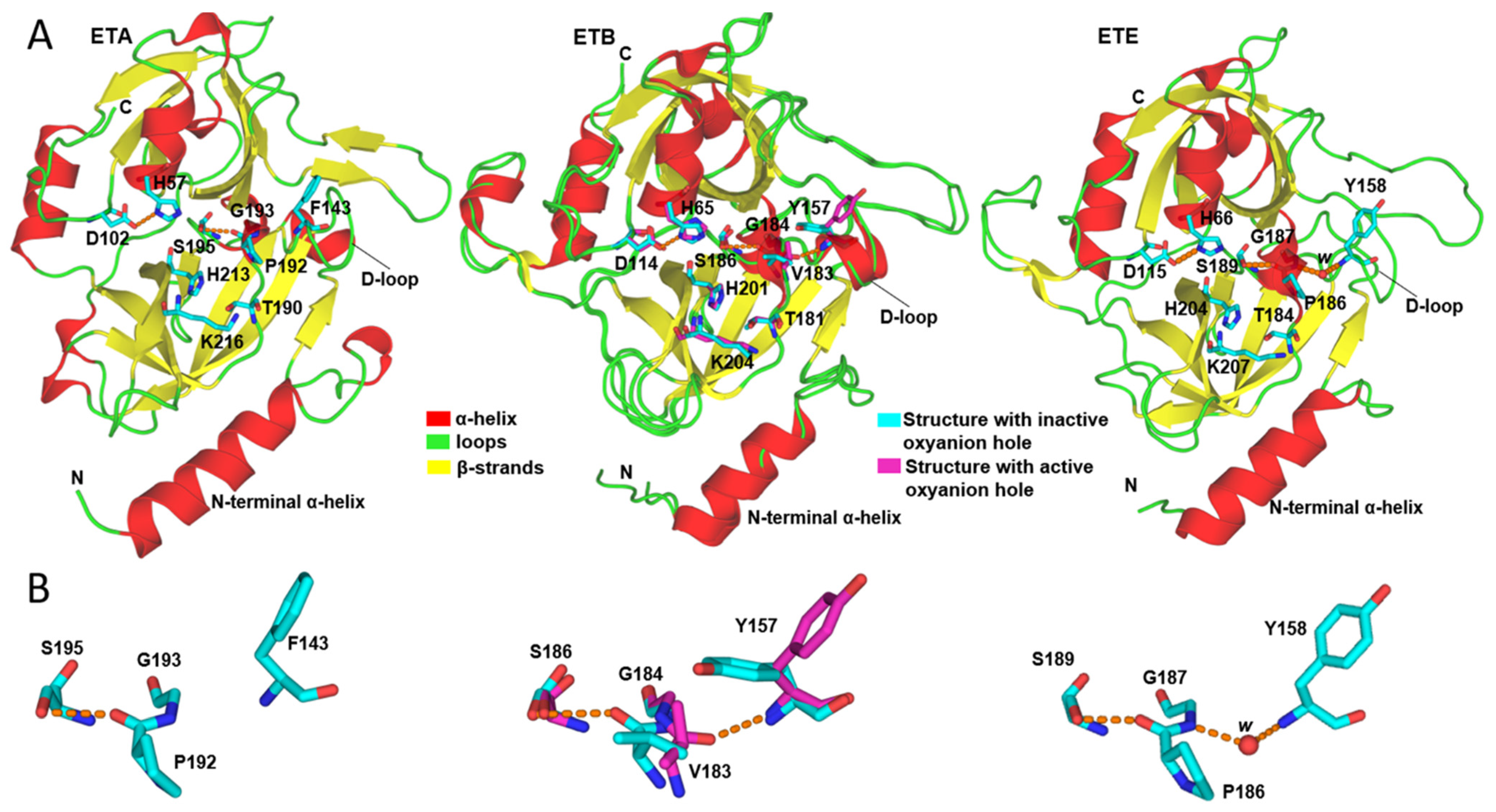 Ijms 23 09857 g001 550