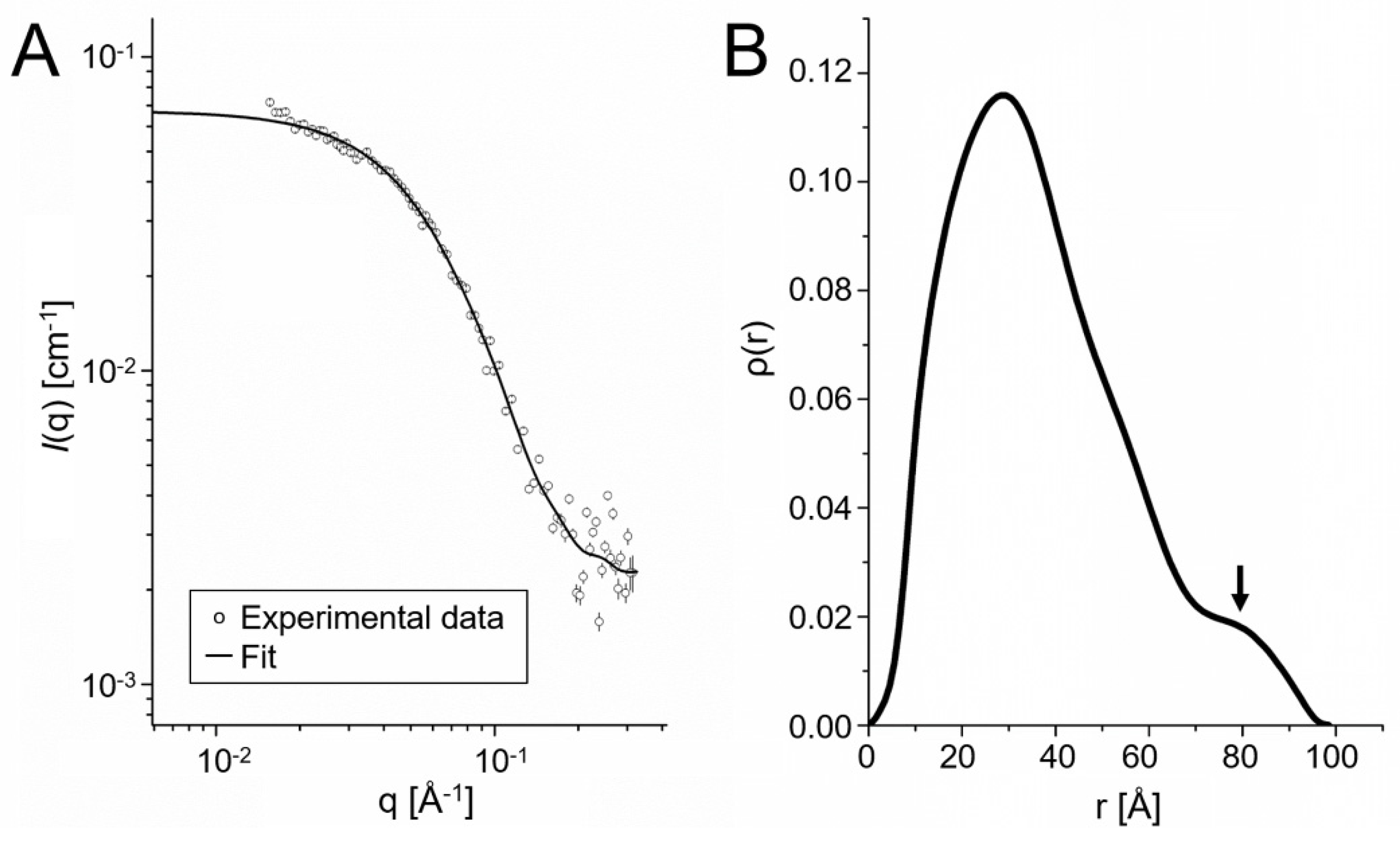 Ijms 23 09857 g005 550
