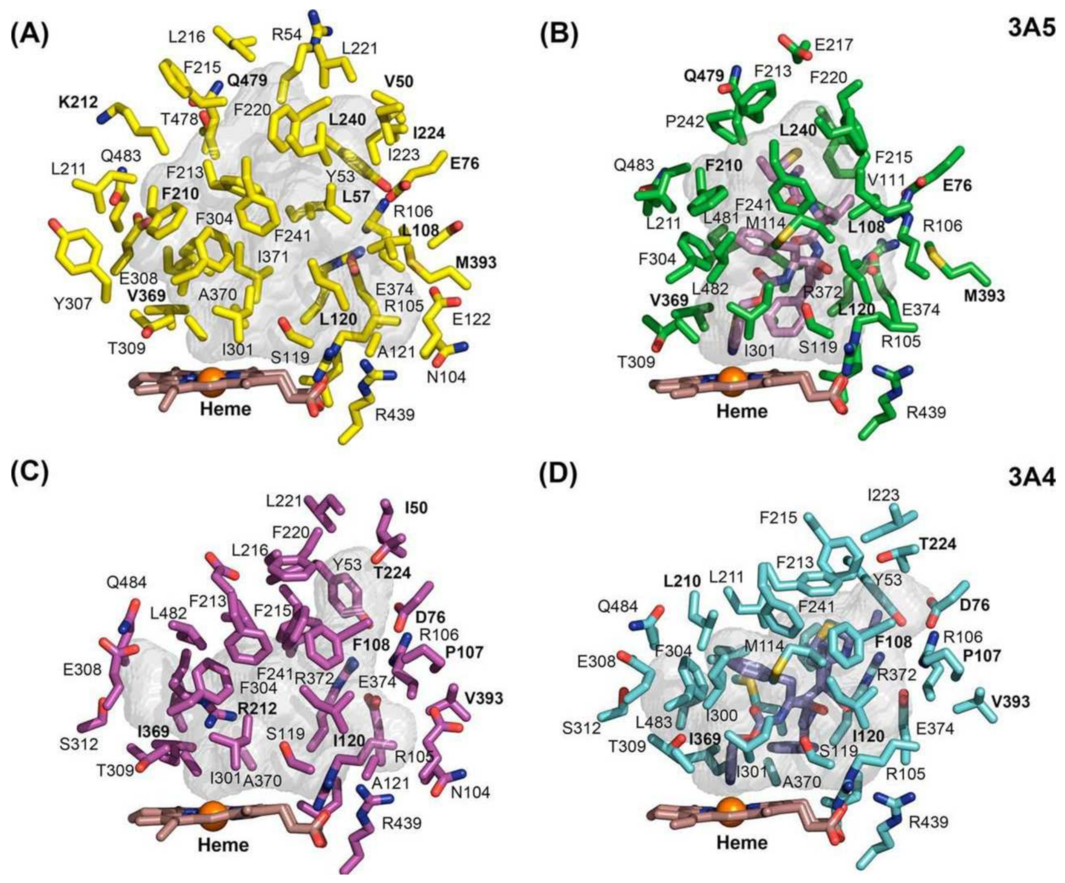 Ijms 23 09866 g002 550