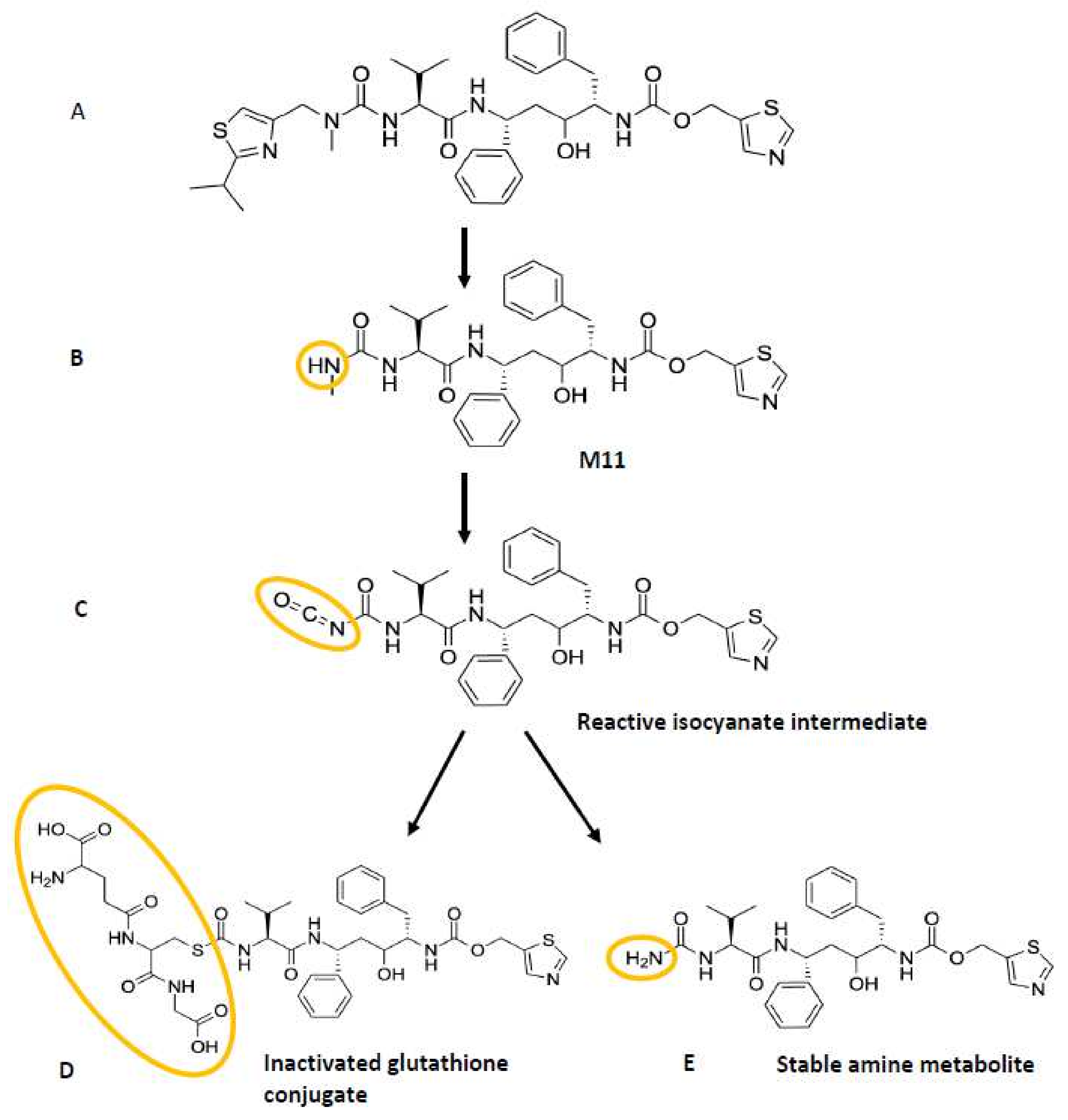 Ijms 23 09866 g005 550