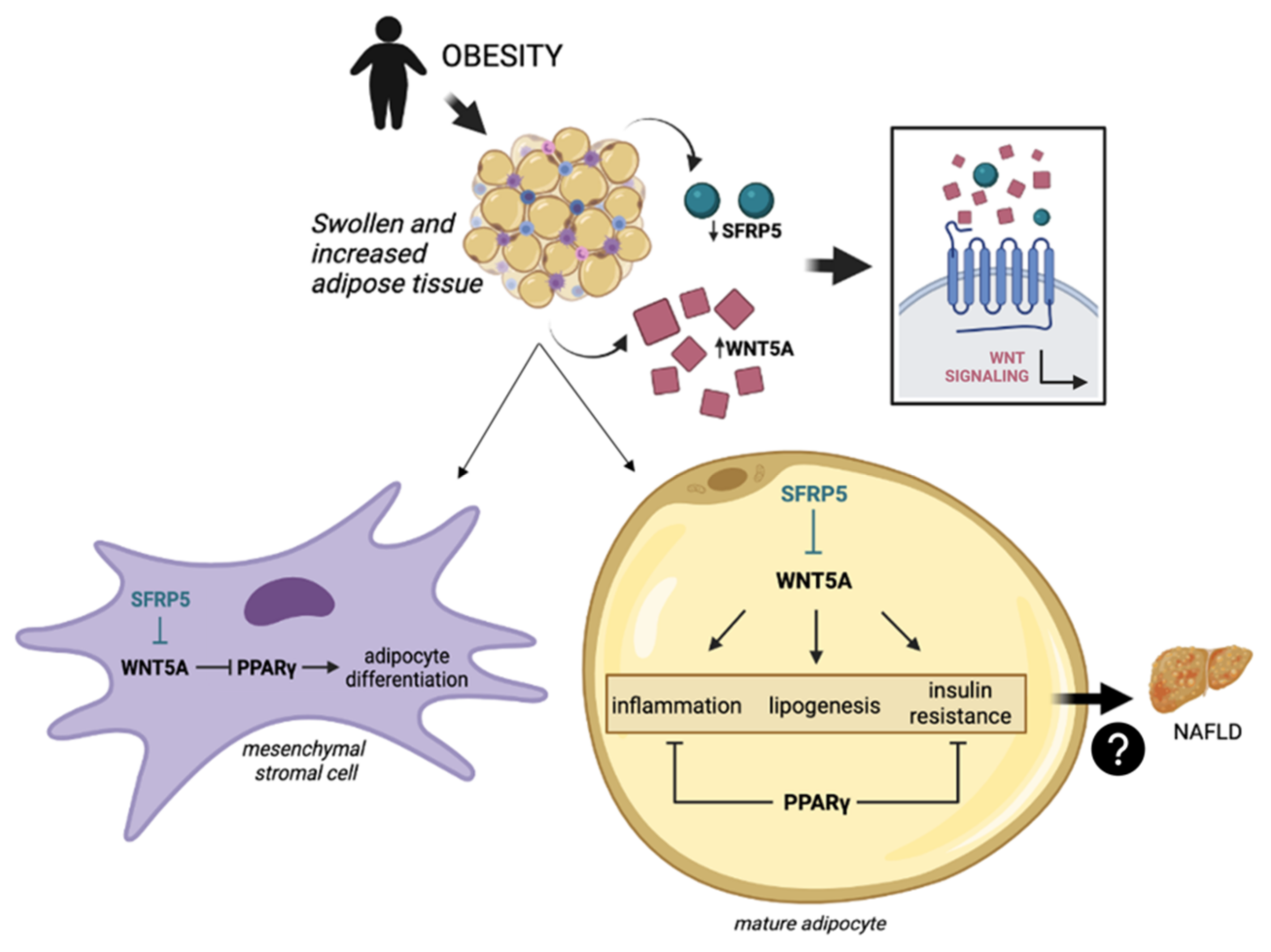 Ijms 23 09871 g001 550