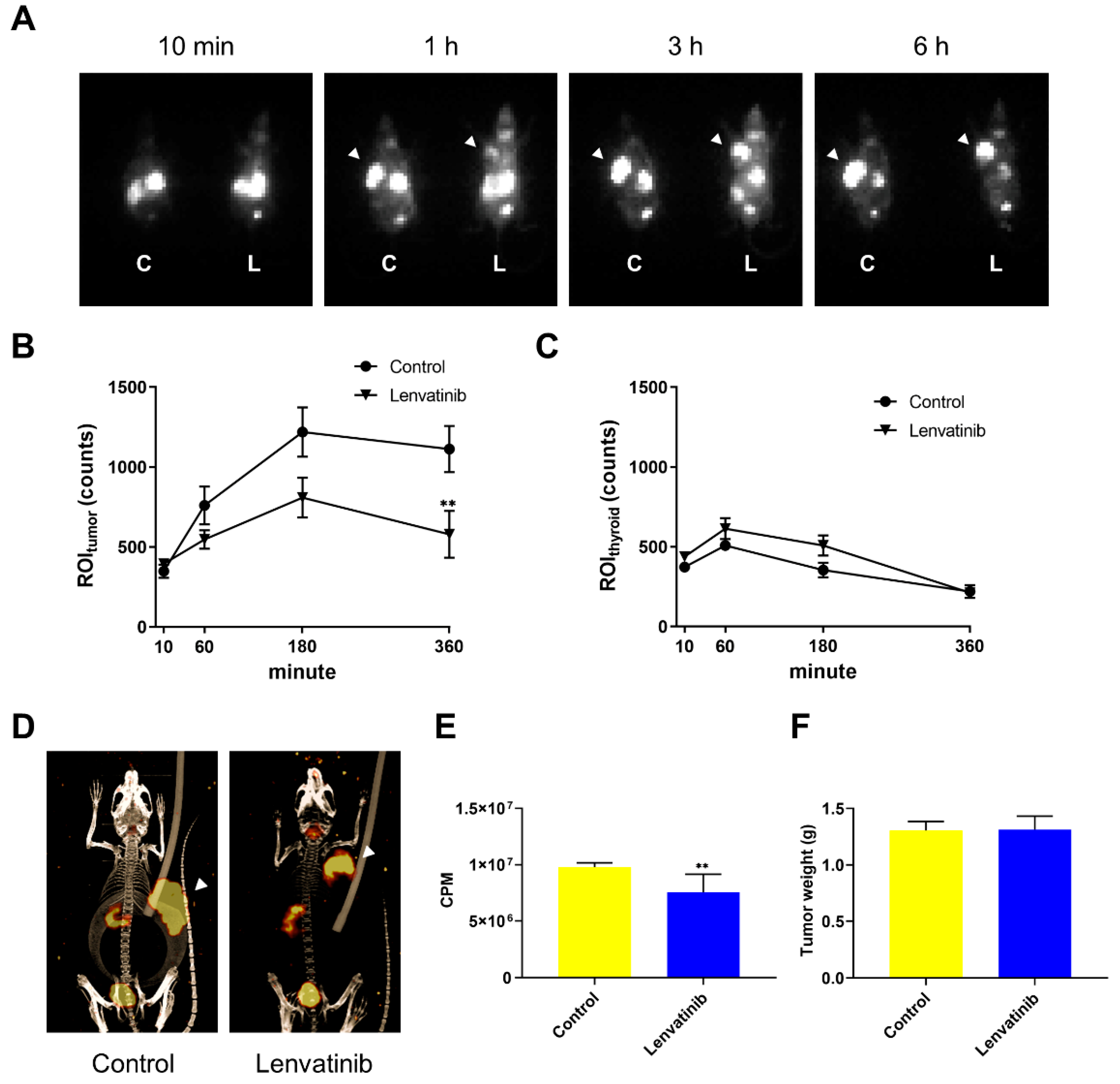 Ijms 23 09872 g002 550