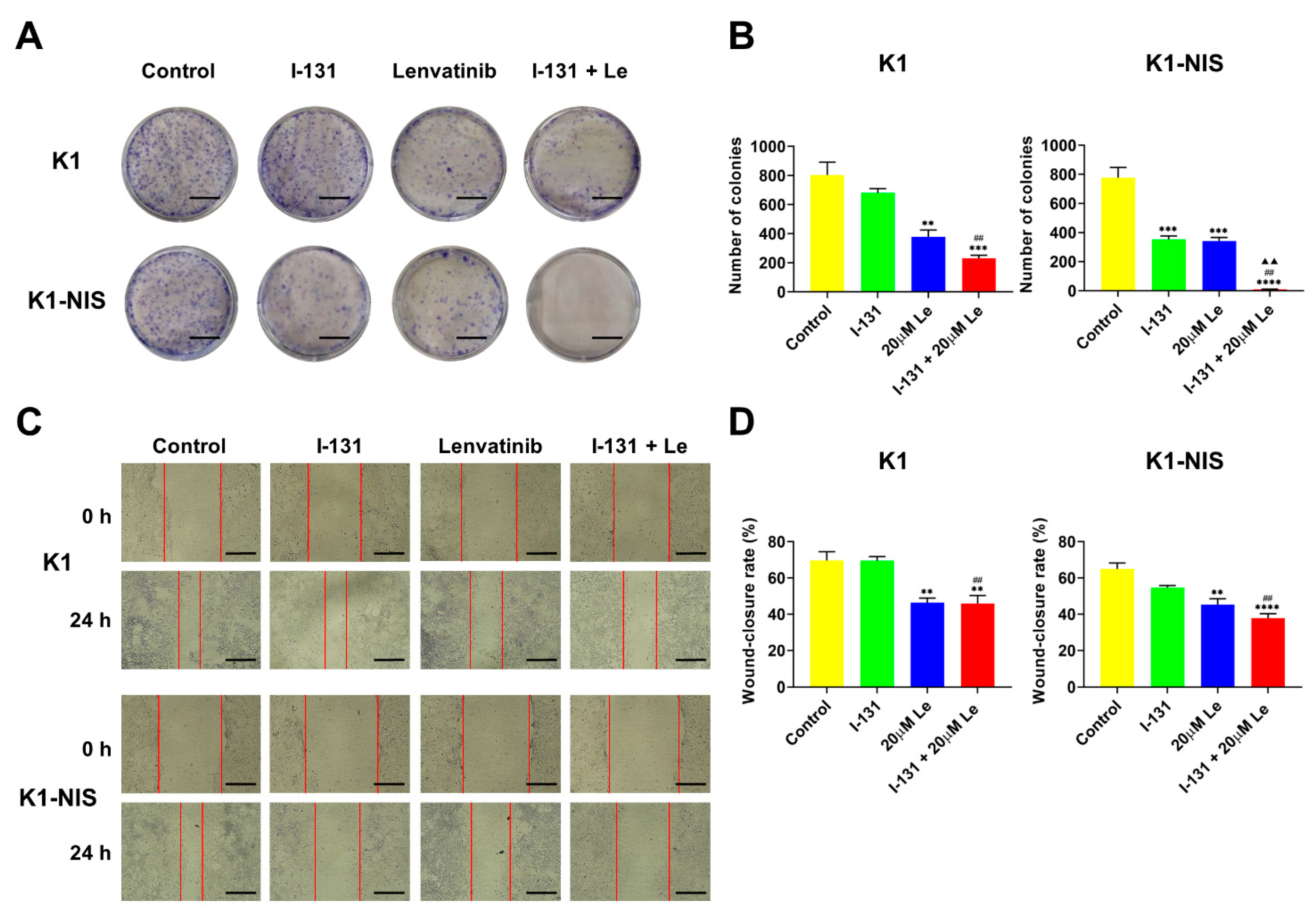 Ijms 23 09872 g003 550