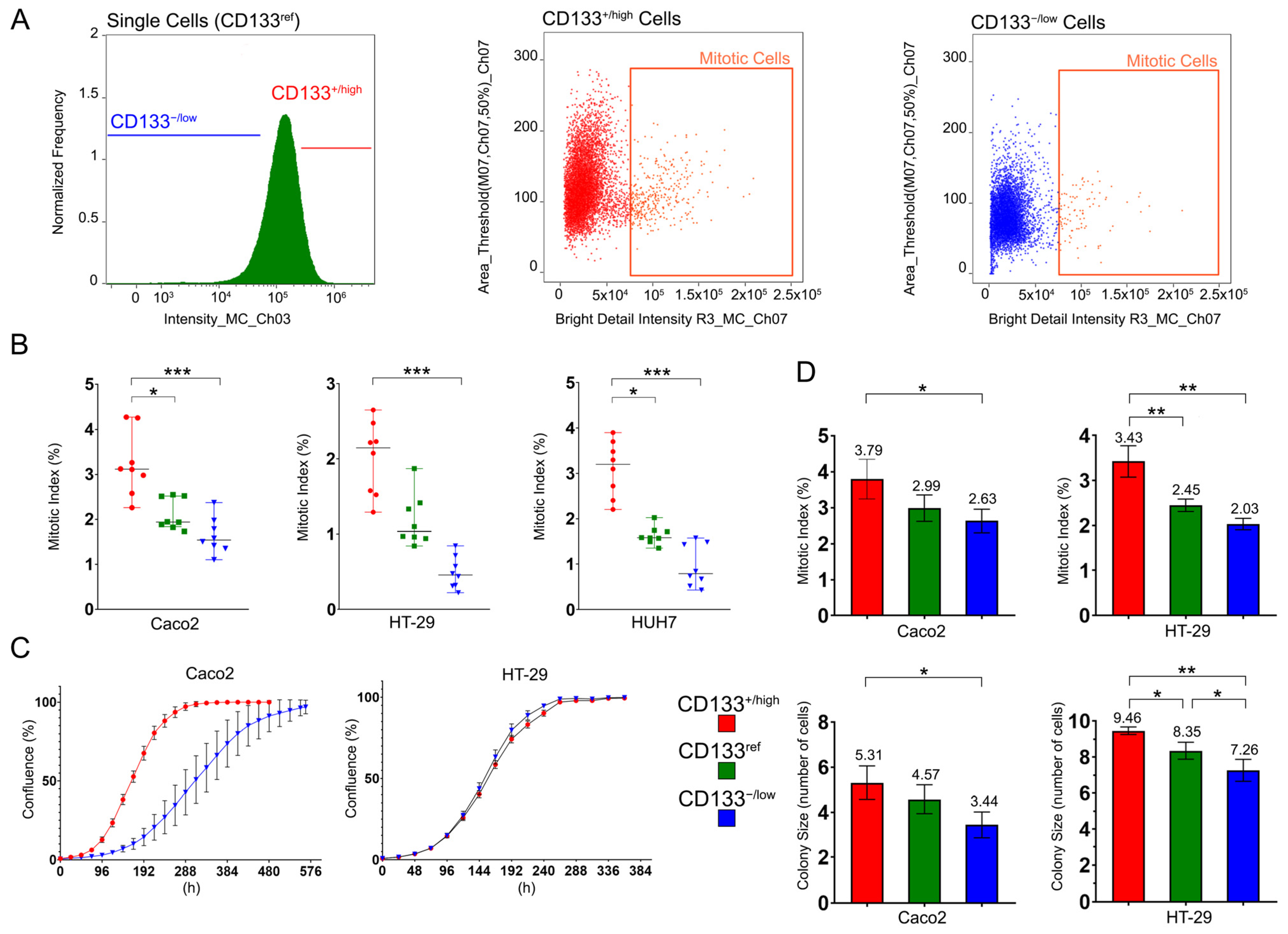 TRIM28 Is a Novel Regulator of CD133 Expression Associated