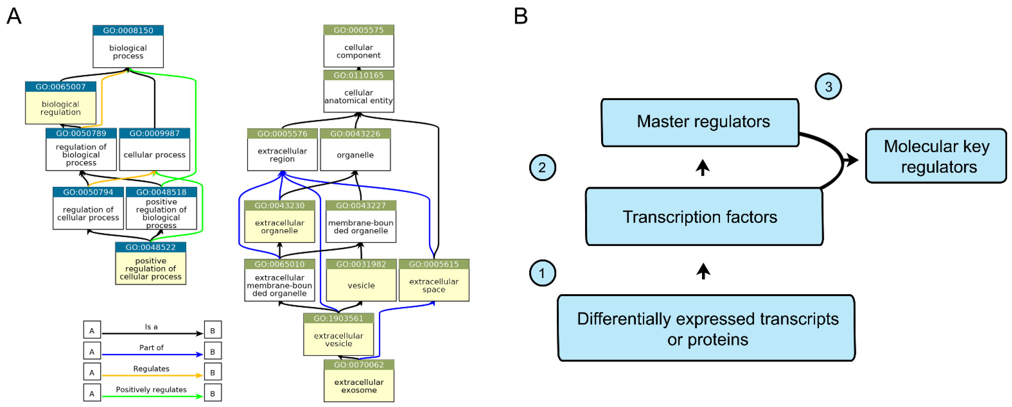 Ijms 23 09874 g003 550