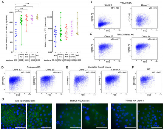 TRIM28 Is a Novel Regulator of CD133 Expression Associated
