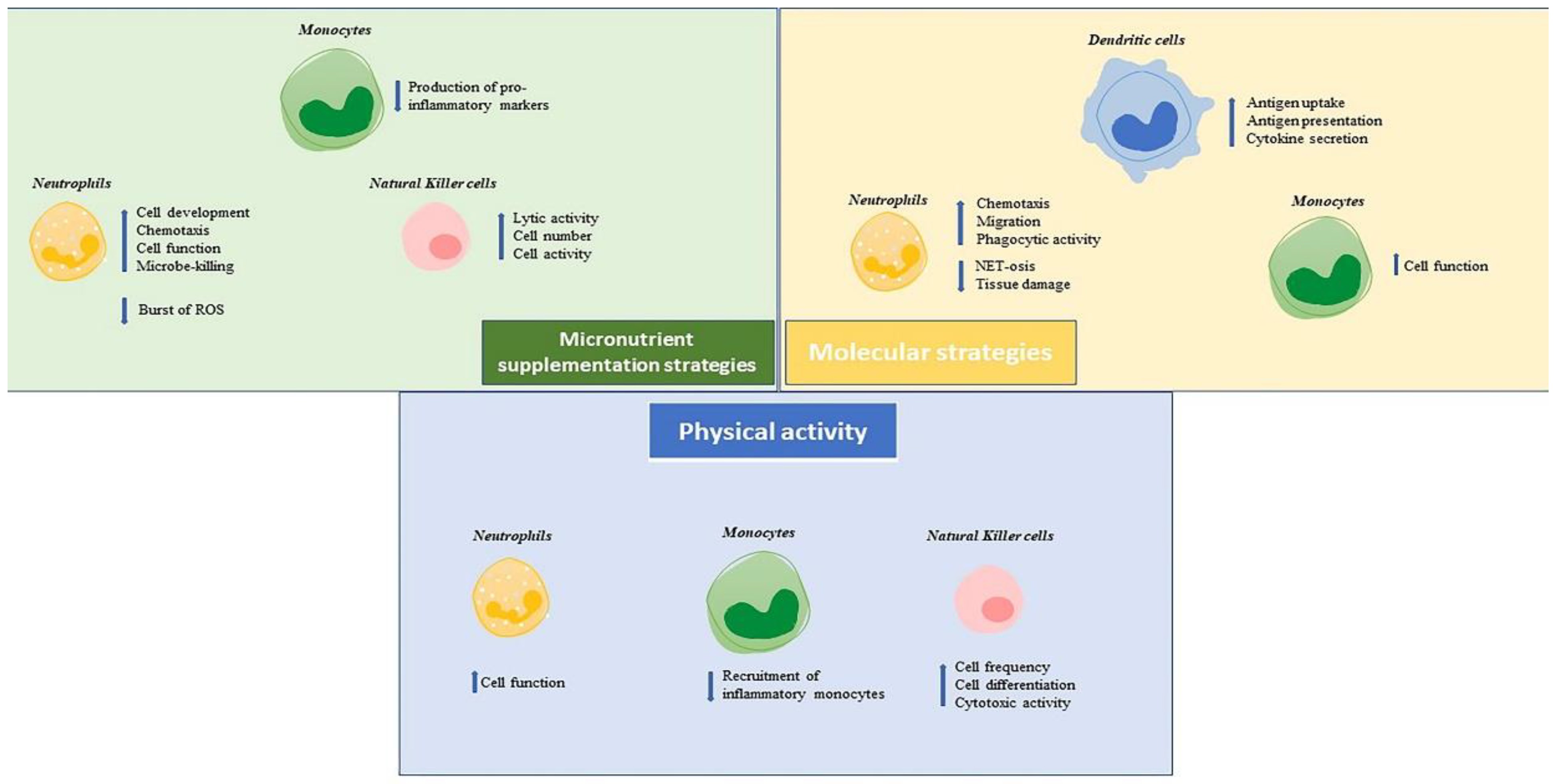 Ijms 23 09880 g001 550