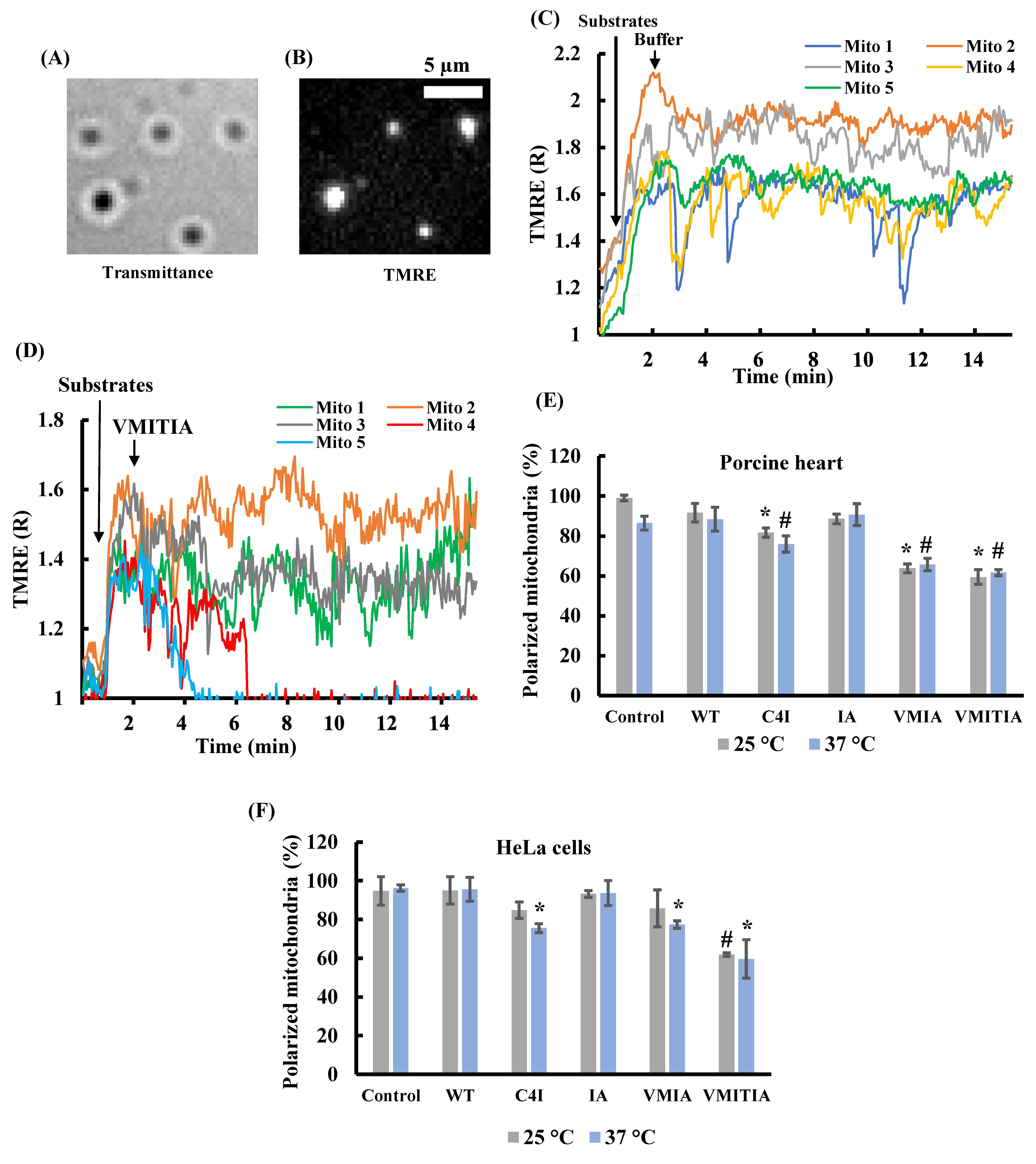 Ijms 23 09881 g001 550