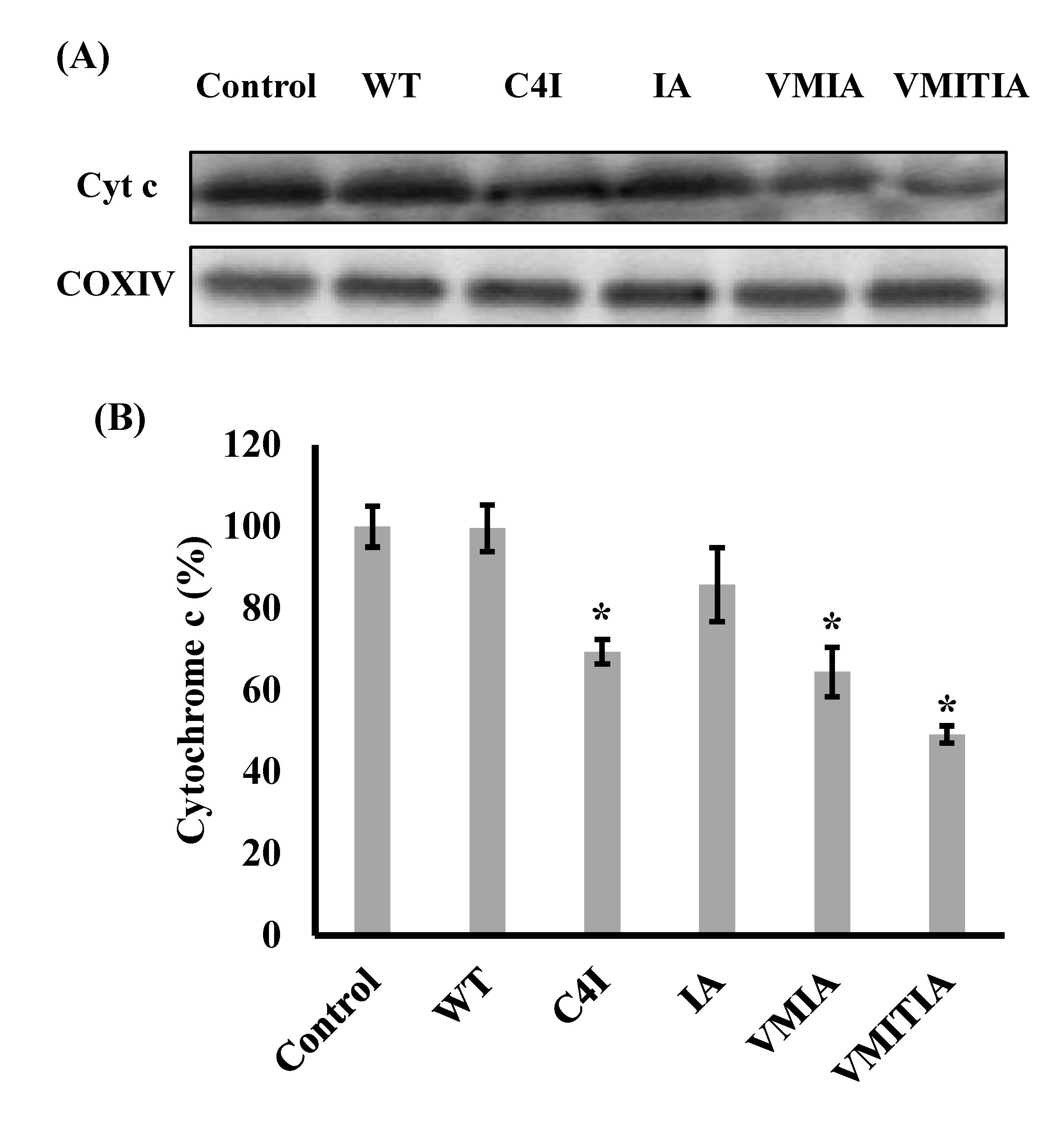 Ijms 23 09881 g003 550