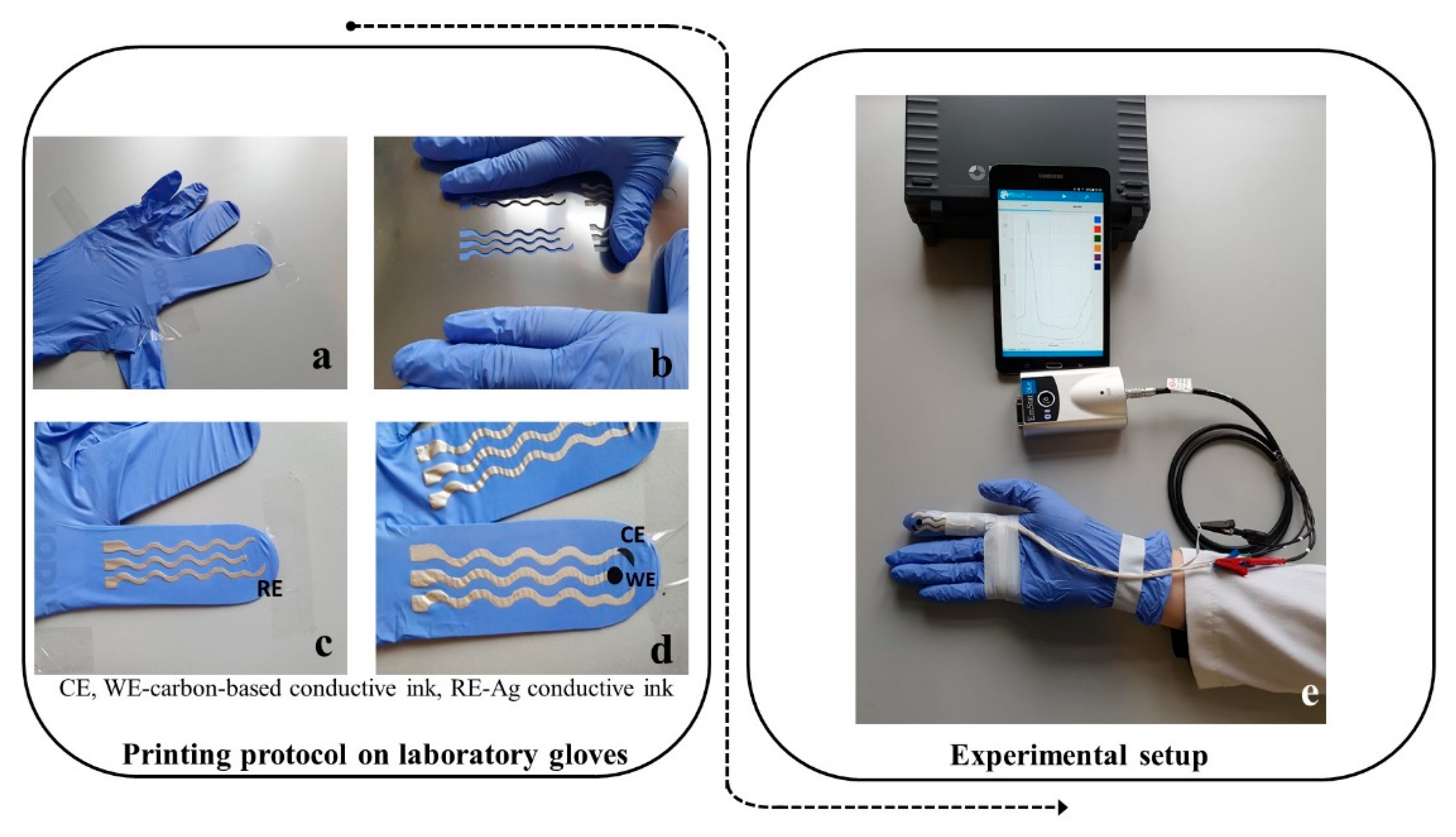 Ijms 23 09884 g005 550