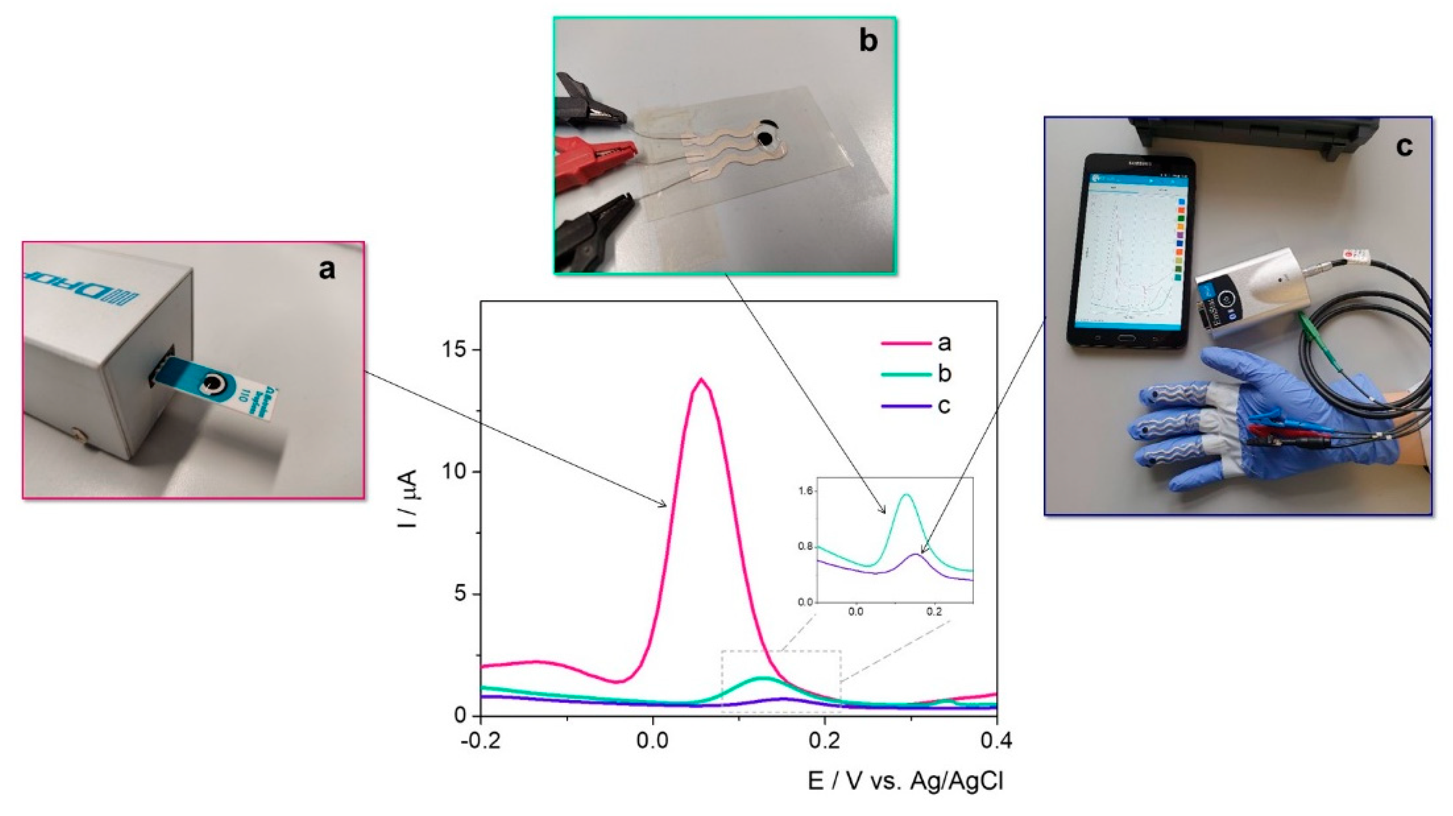Ijms 23 09884 g007 550
