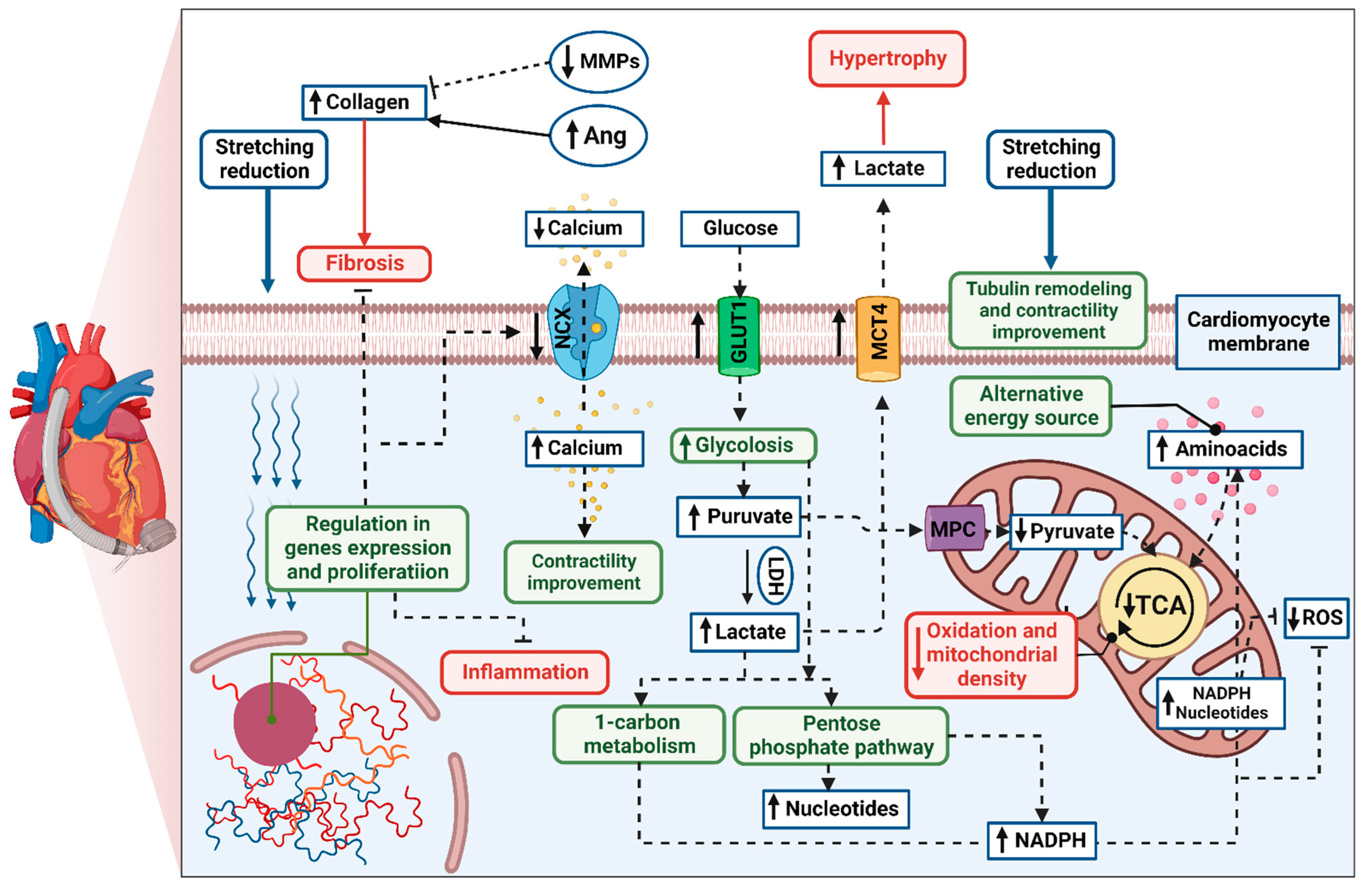 Ijms 23 09886 g001 Ijms 23 09886 g001