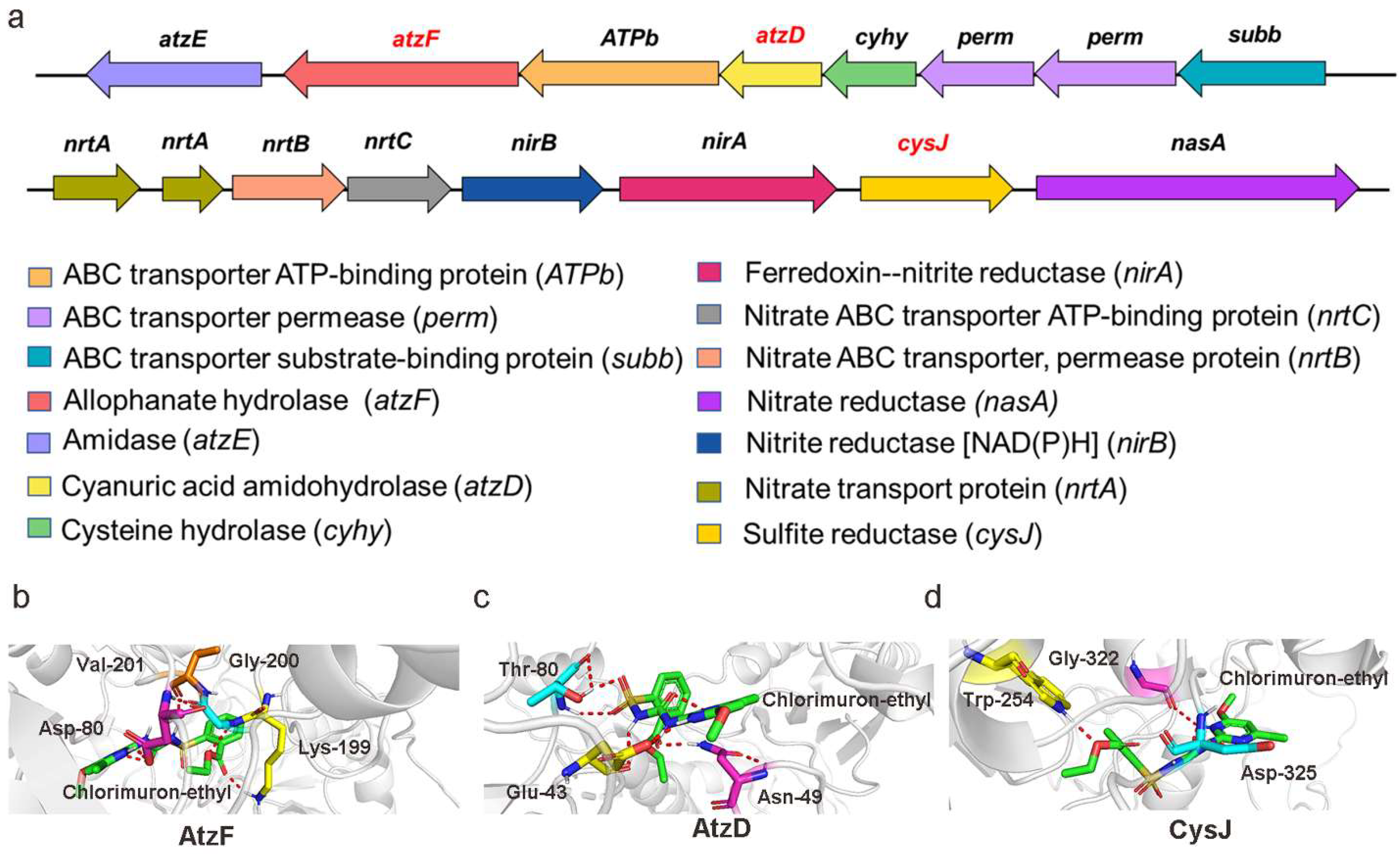 Ijms 23 09890 g006 550