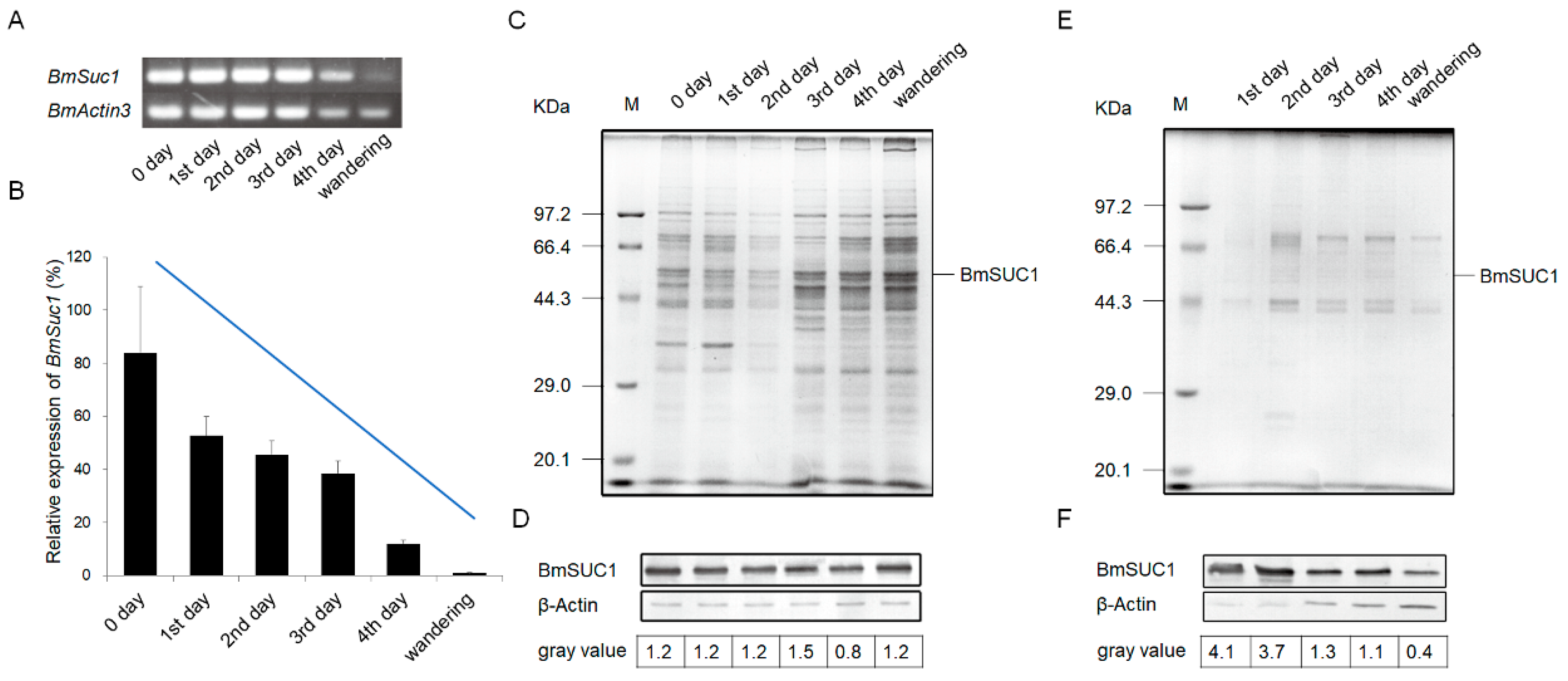 Ijms 23 09891 g002 550