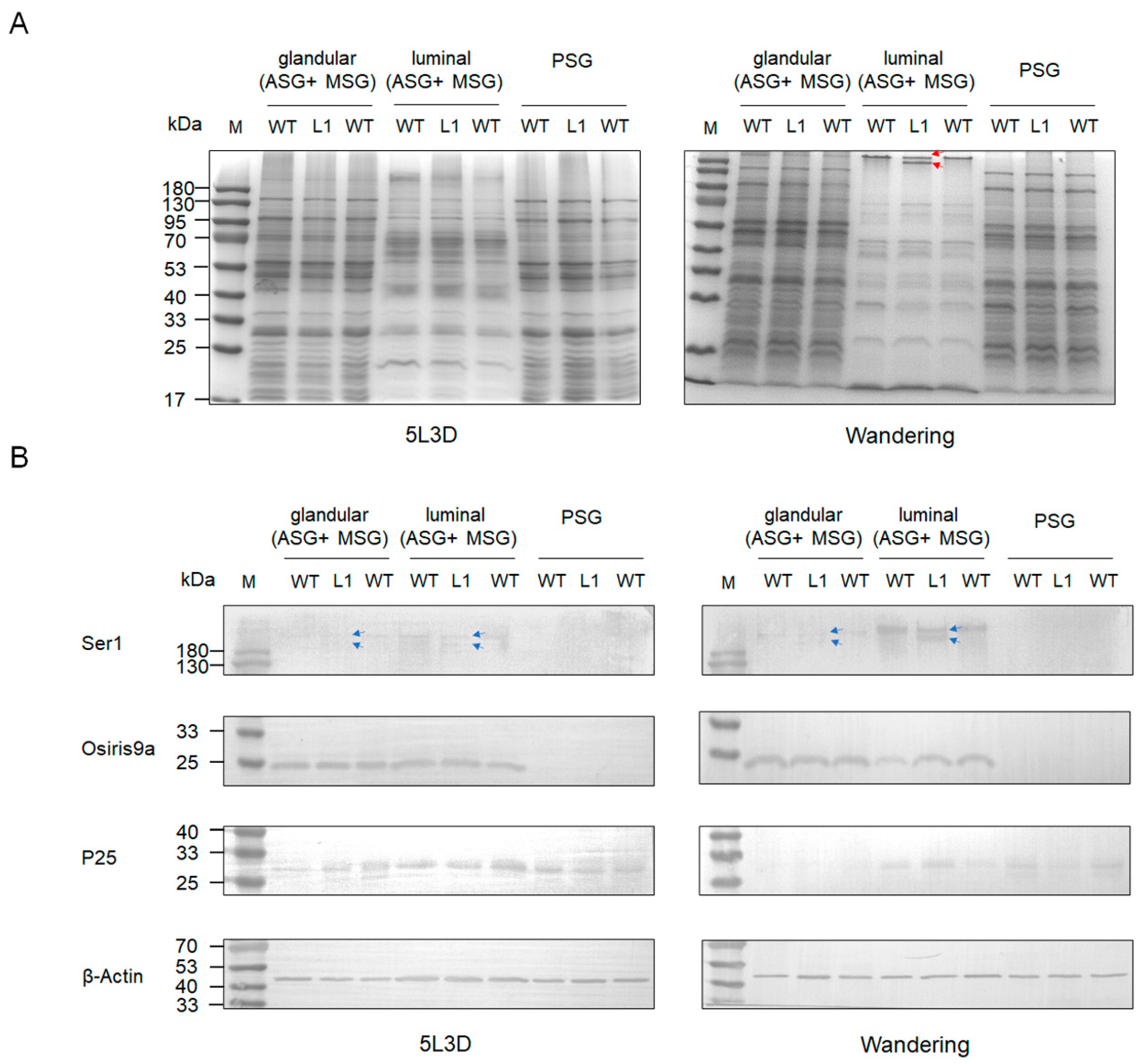 Ijms 23 09891 g006 550