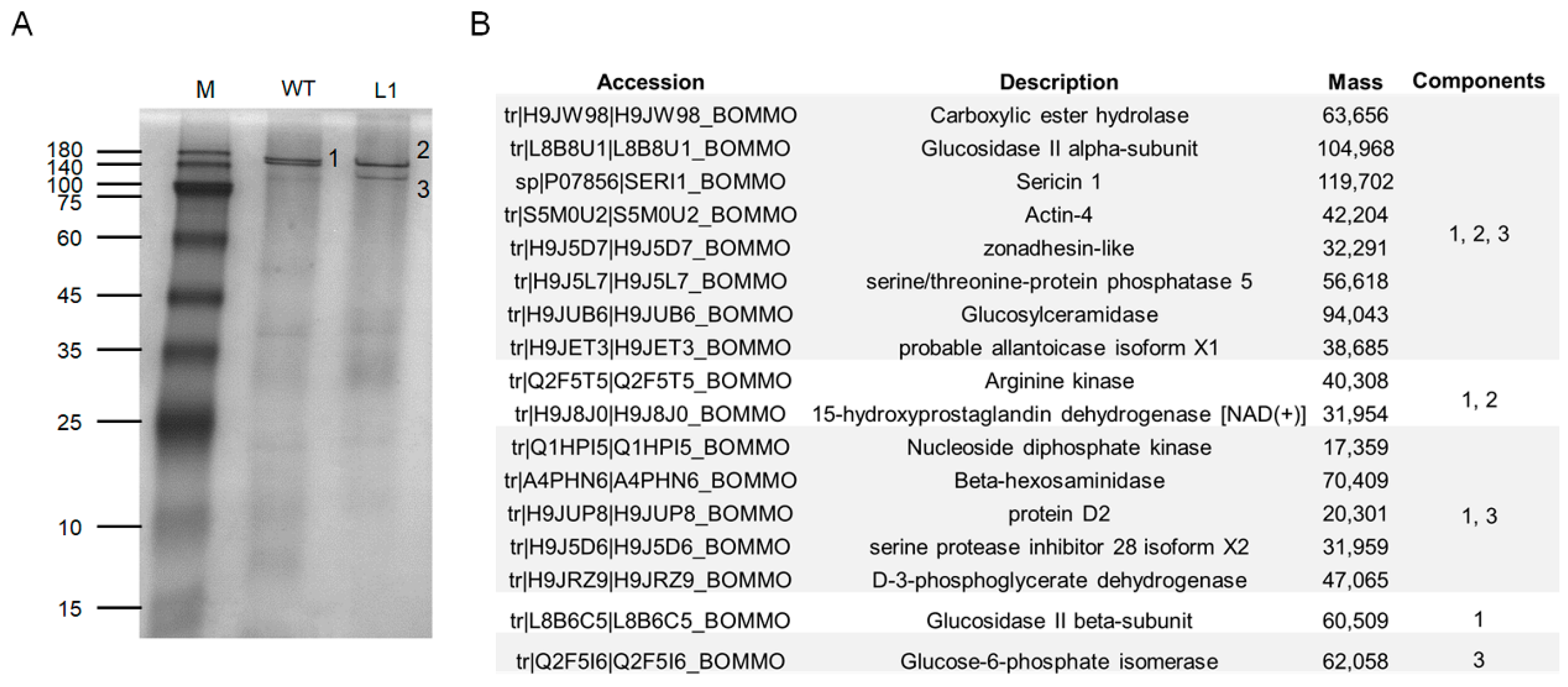 Ijms 23 09891 g007 550