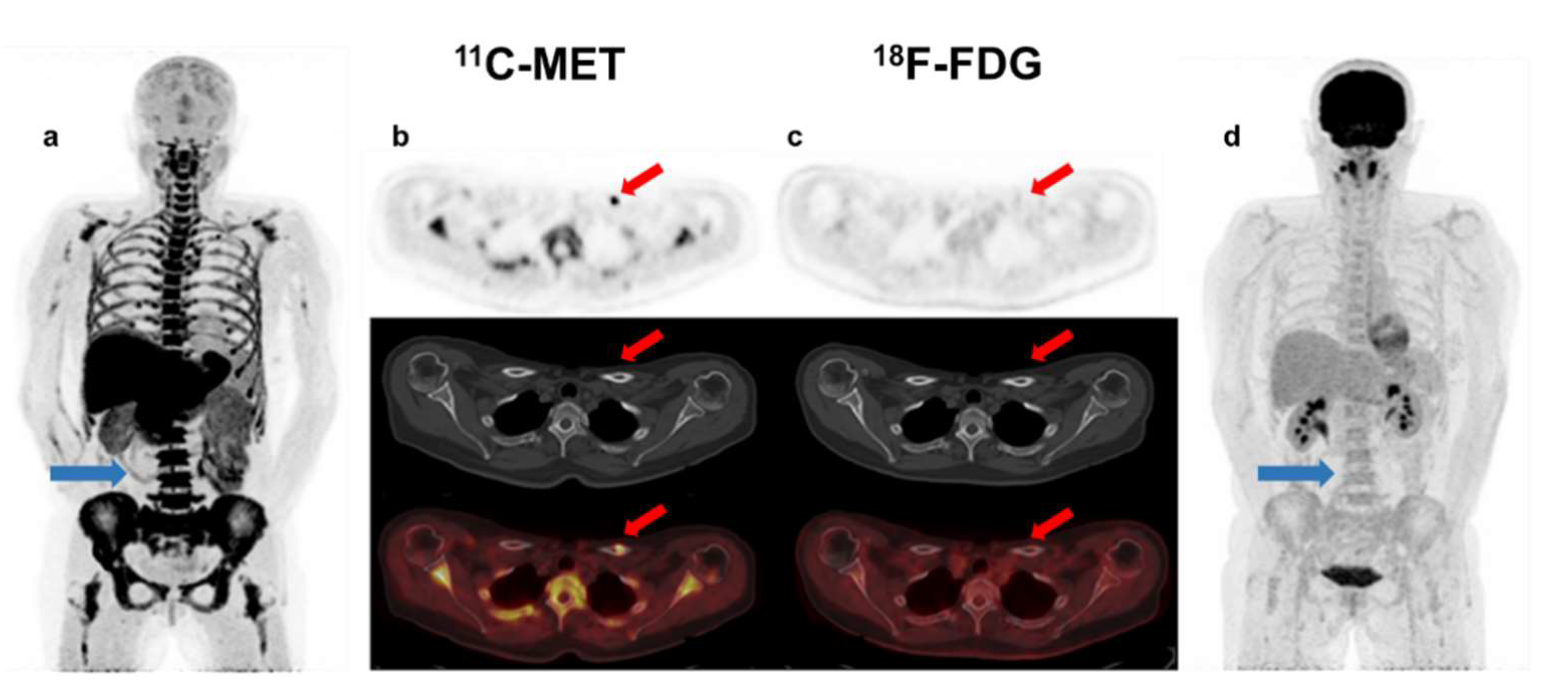 Ijms 23 09895 g003 550