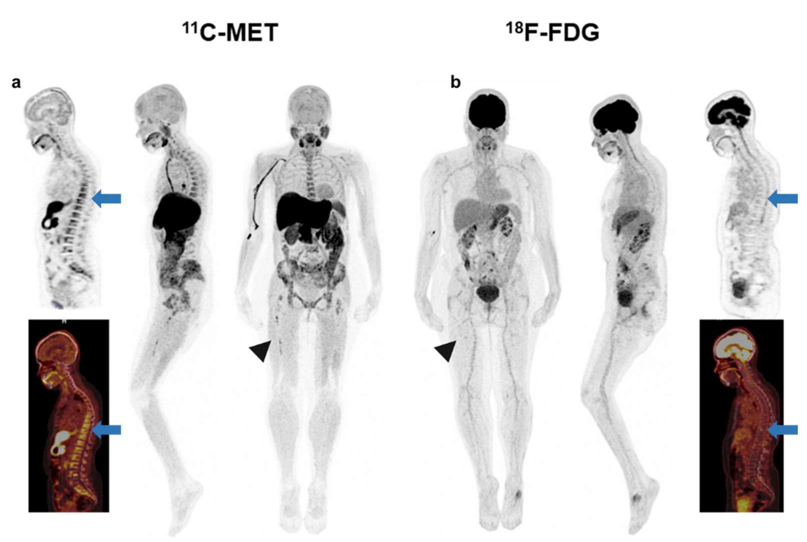 Ijms 23 09895 g004 550