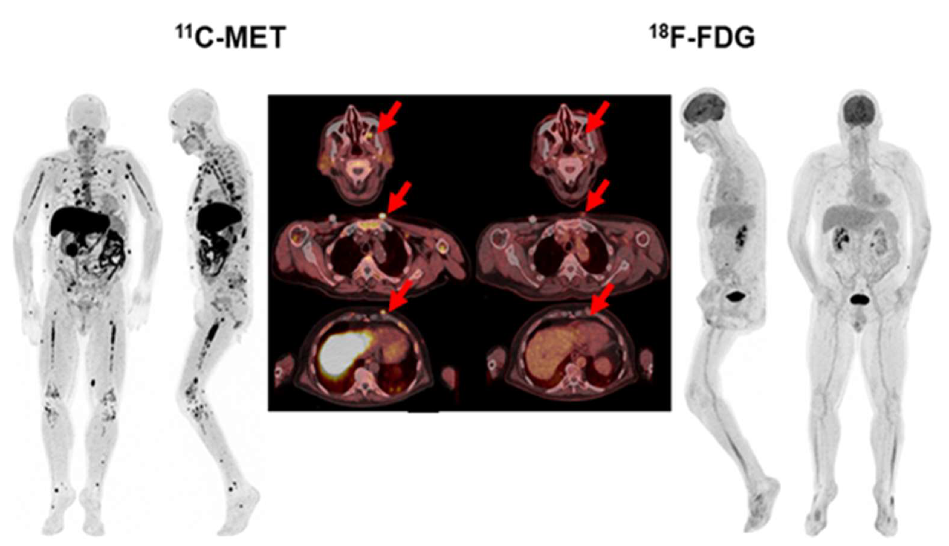 Ijms 23 09895 g006 550