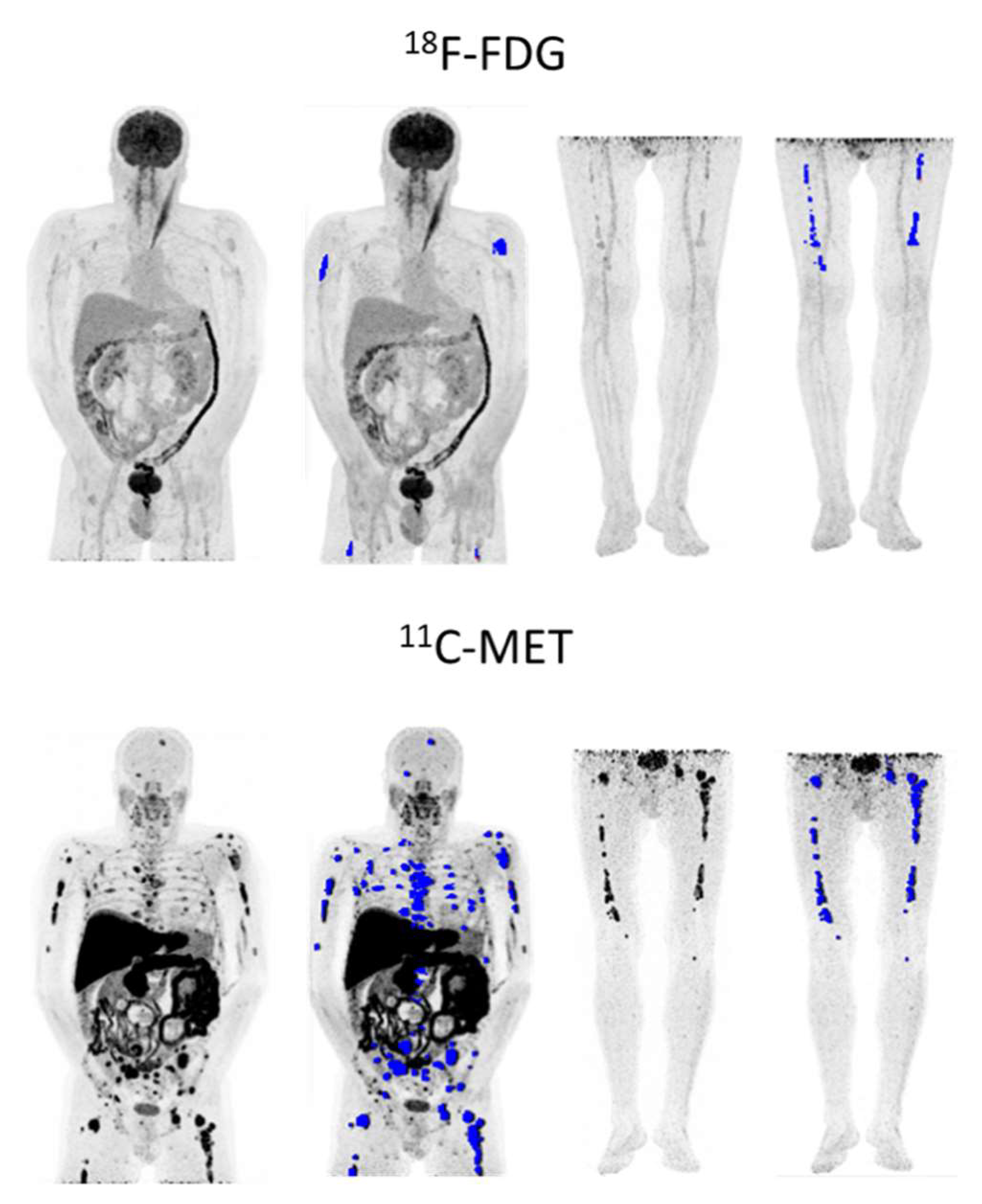 Ijms 23 09895 g007 550