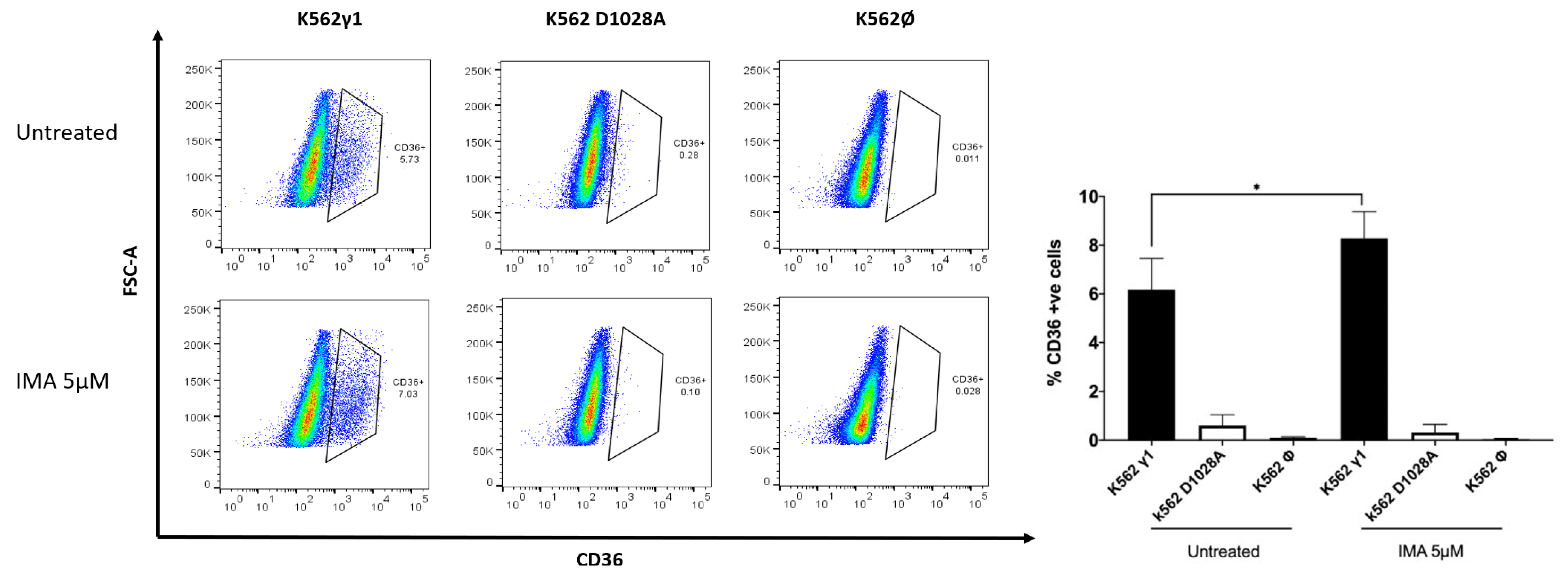 Ijms 23 09899 g005 Ijms 23 09899 g005