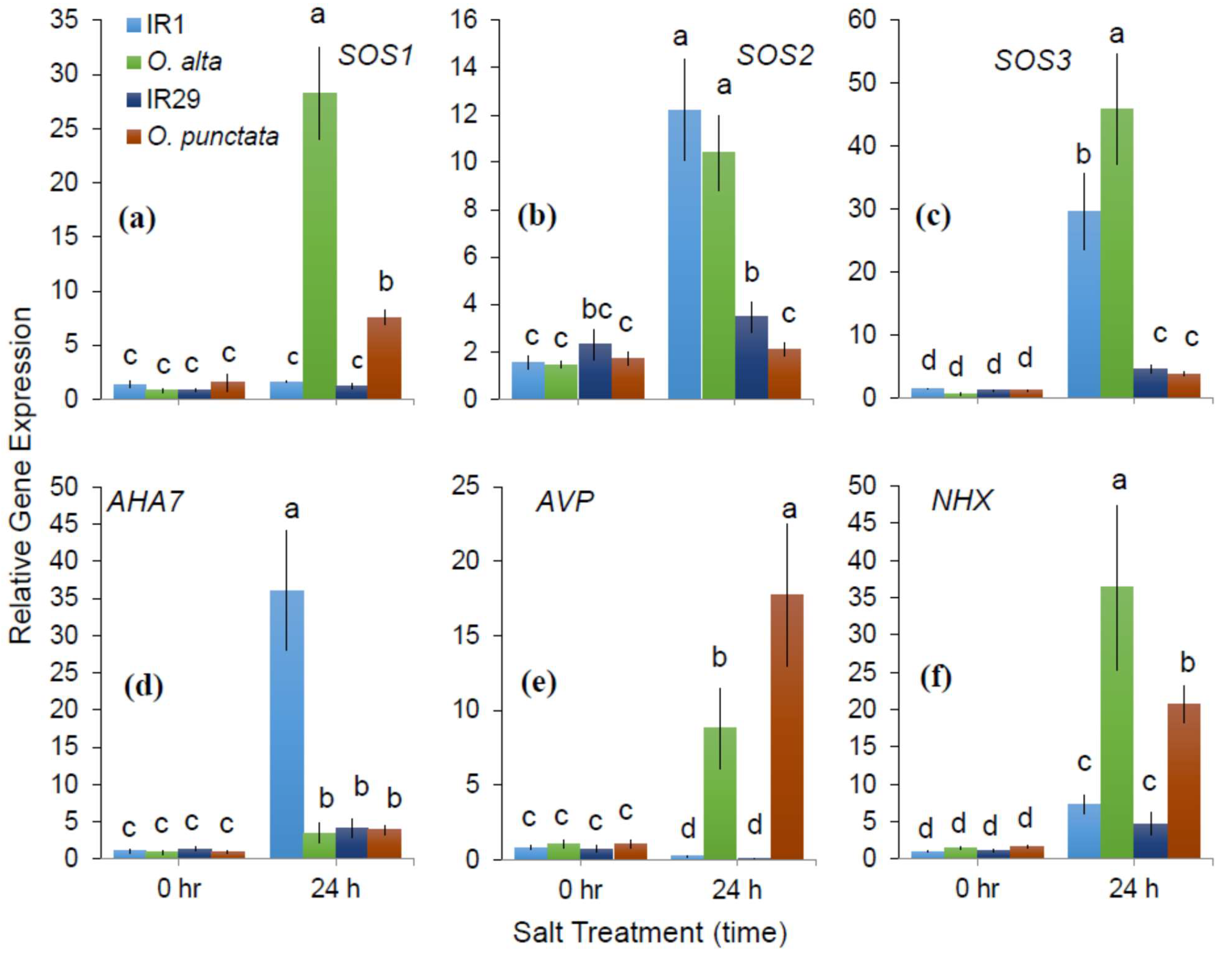 Ijms 23 09900 g002 550
