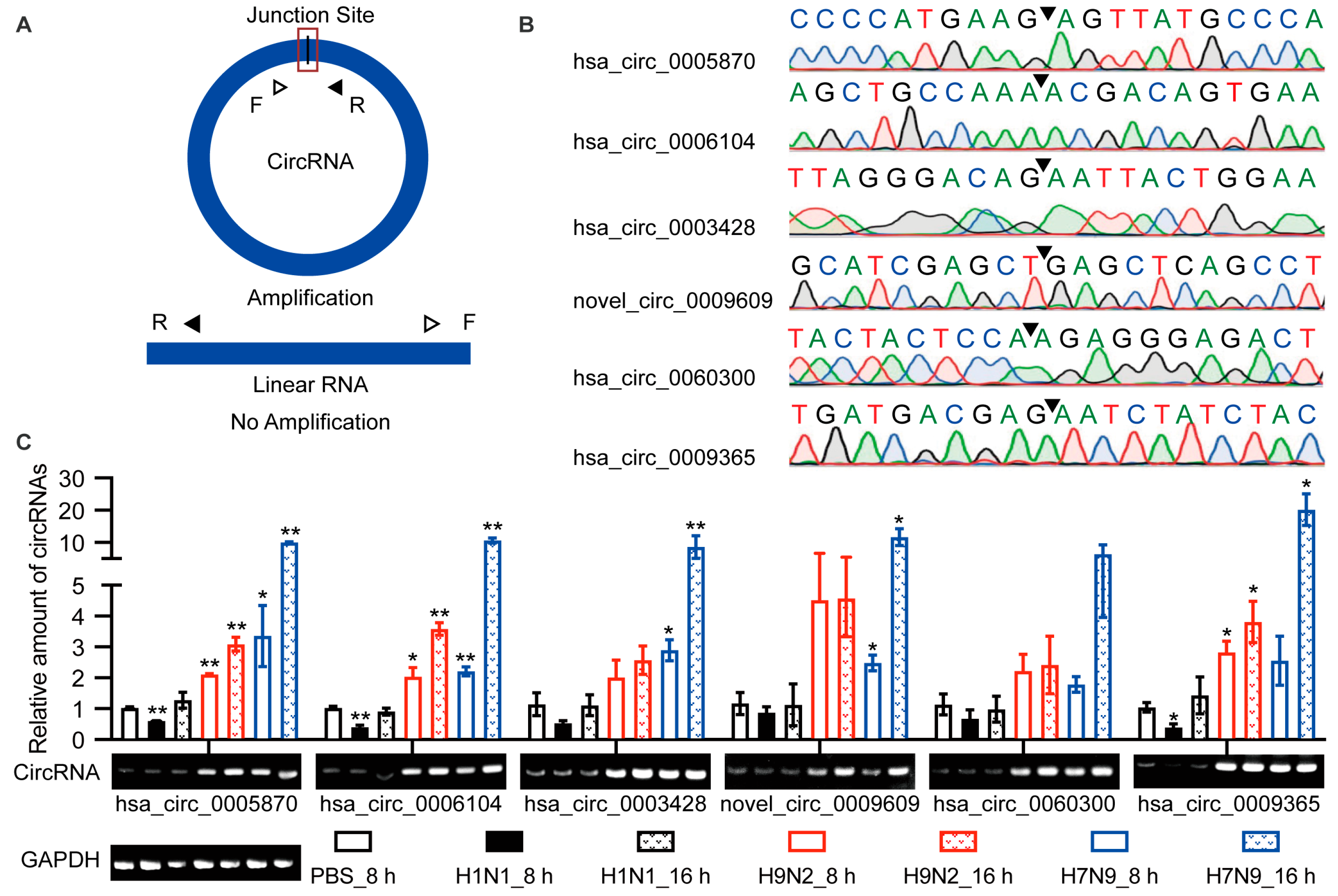 Ijms 23 09901 g003 550
