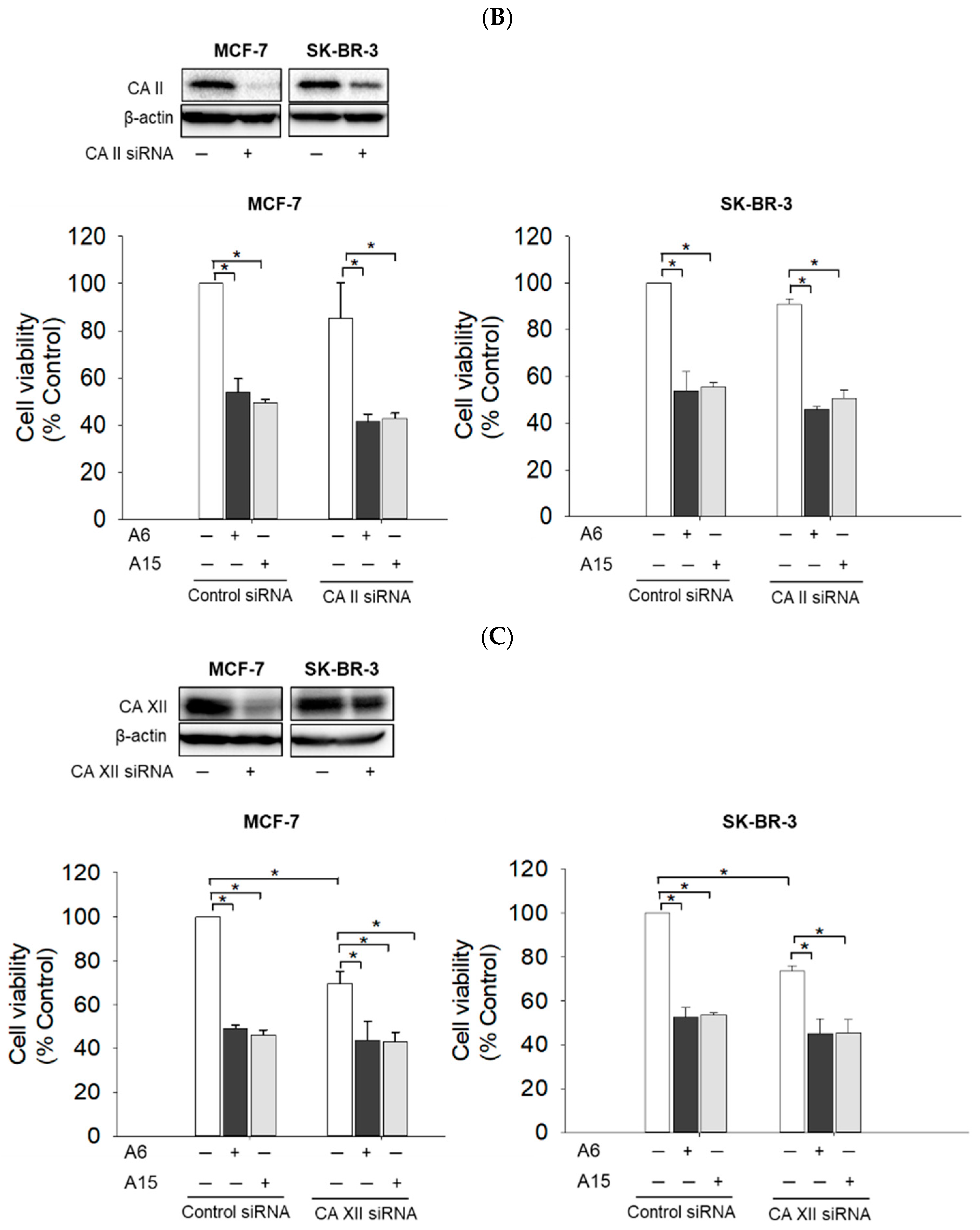 Ijms 23 09903 g006b 550